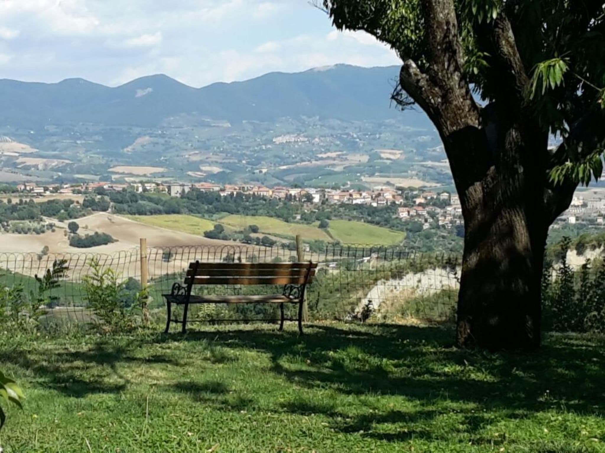 Gallery Image 11