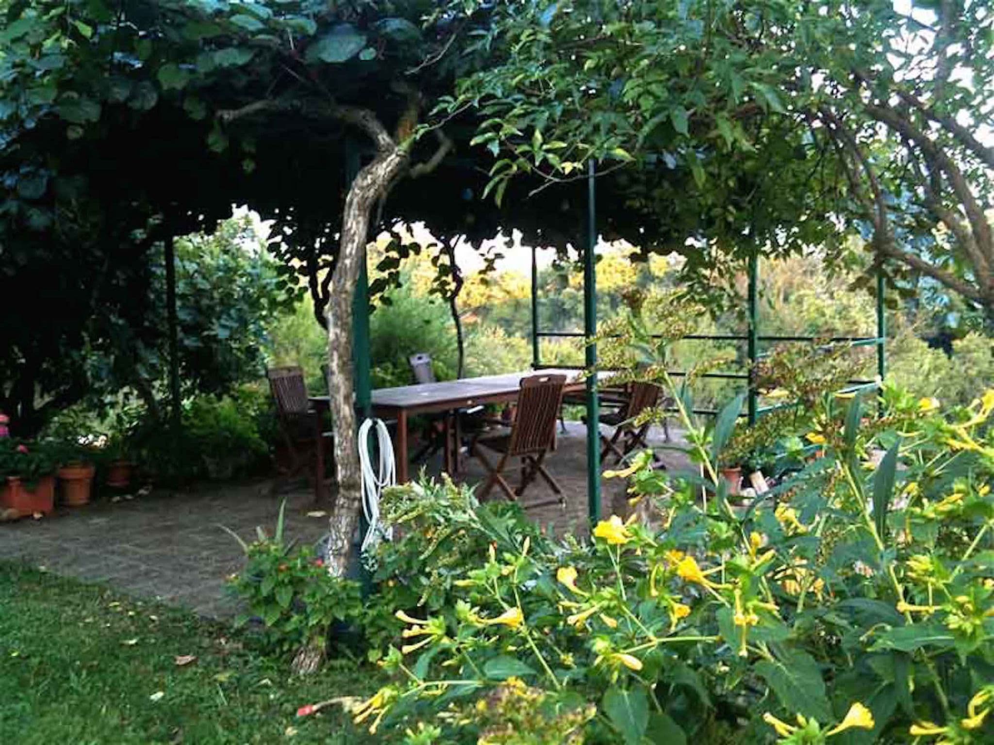 Gallery Image 13