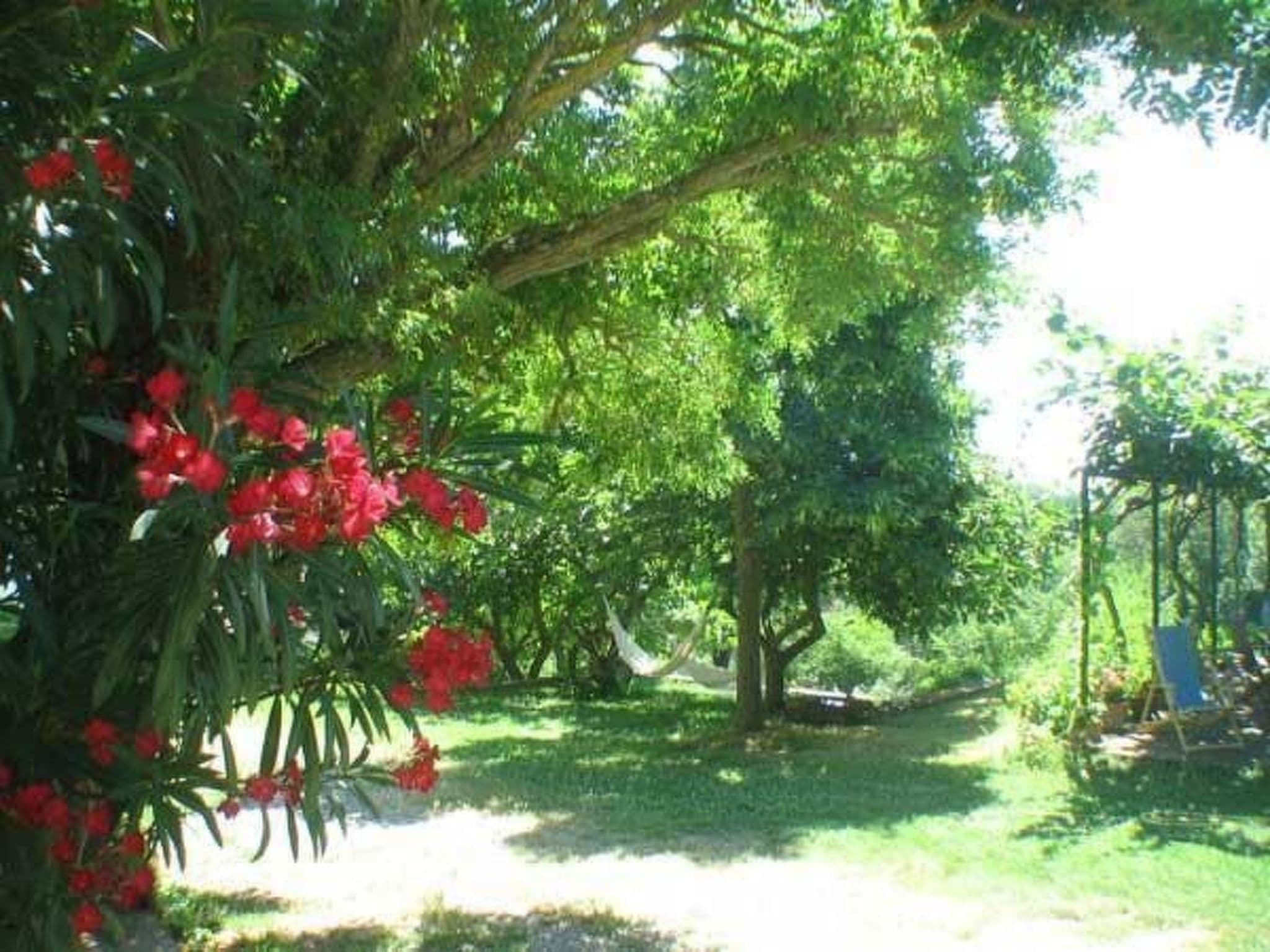 Gallery Image 19