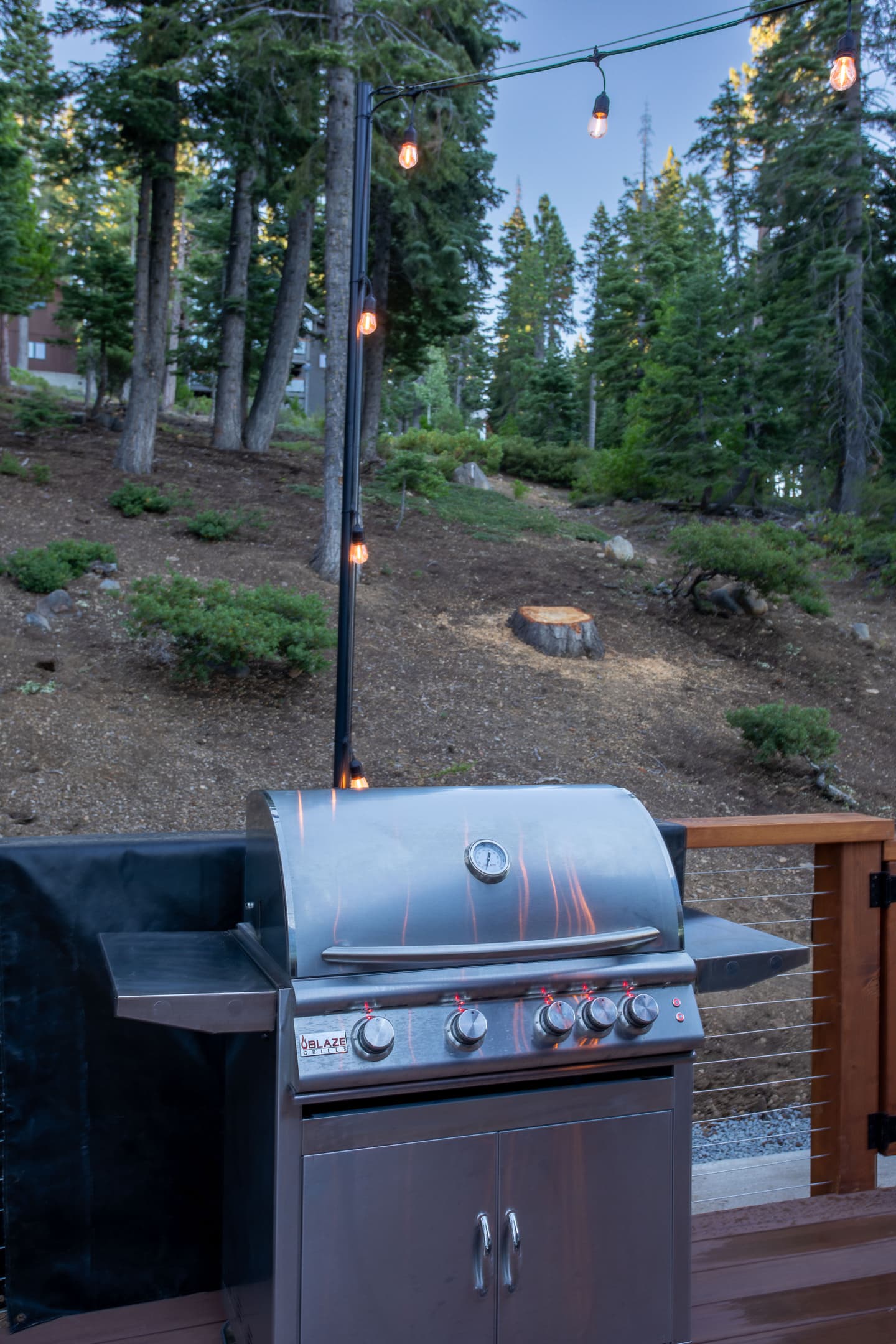 Grilling in the great outdoors