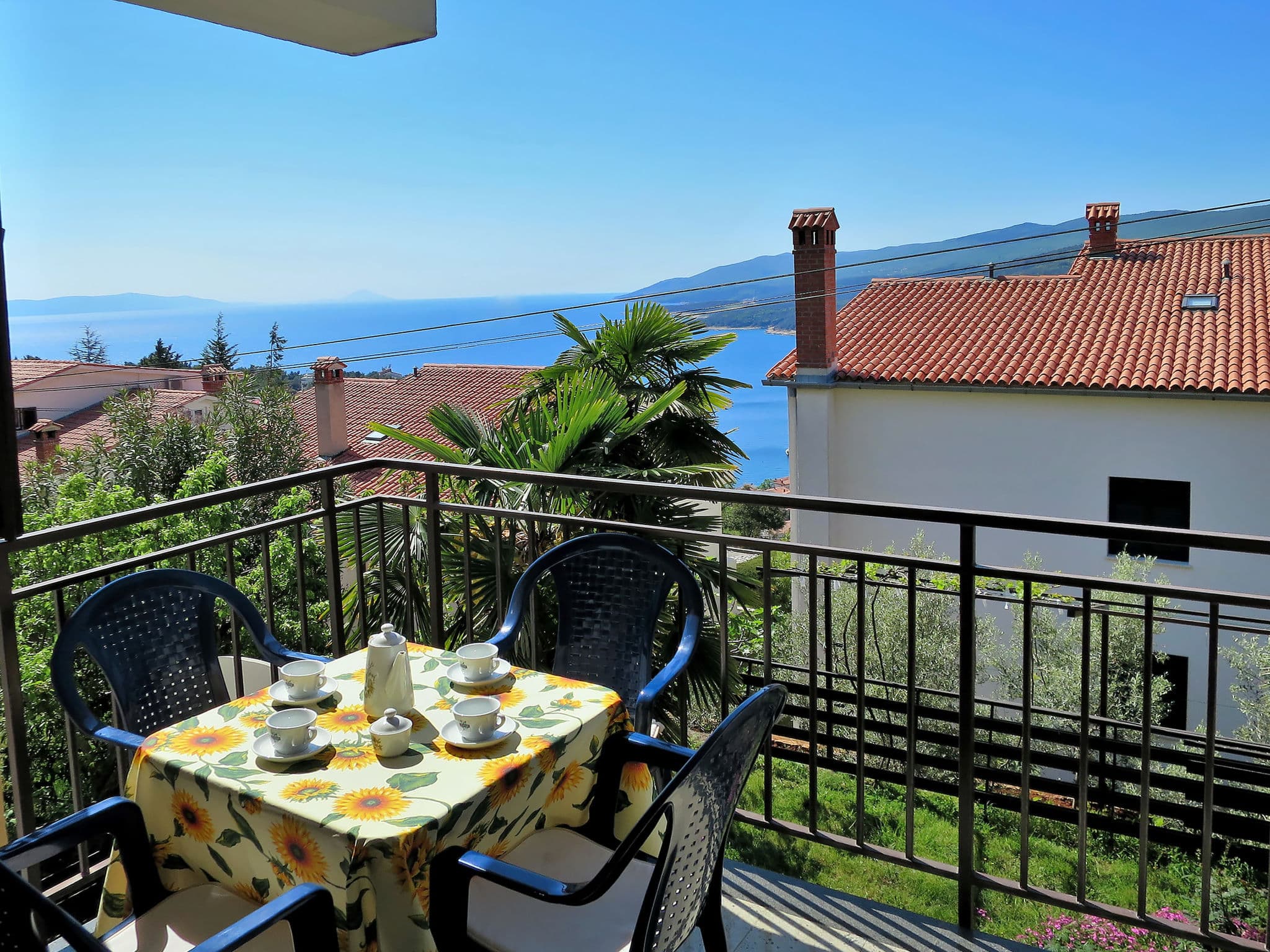 View