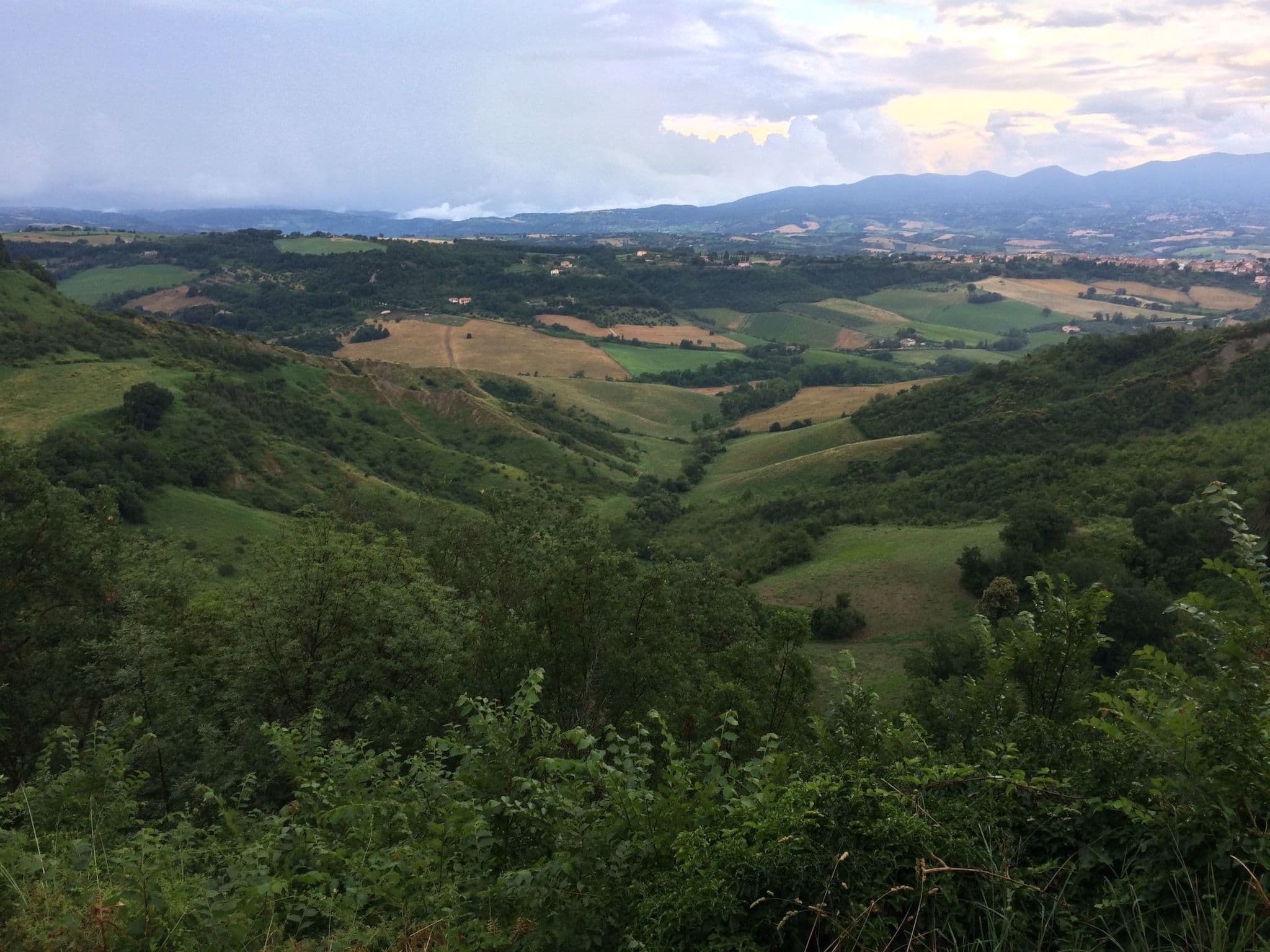 View