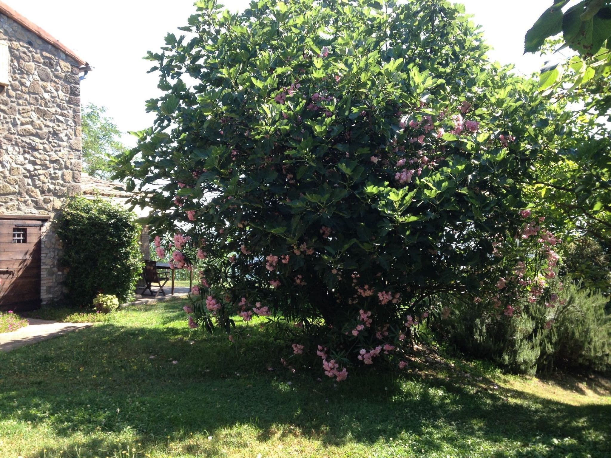 Gallery Image 26