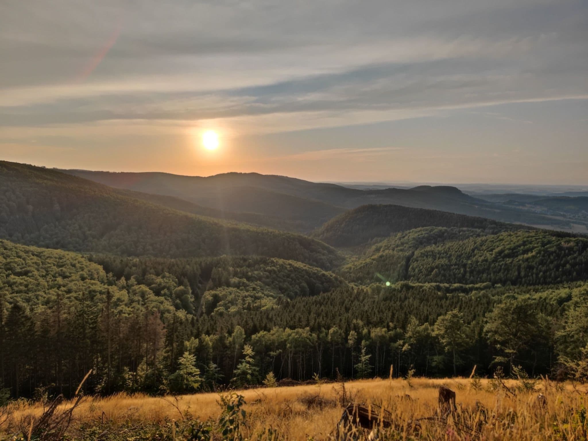 View