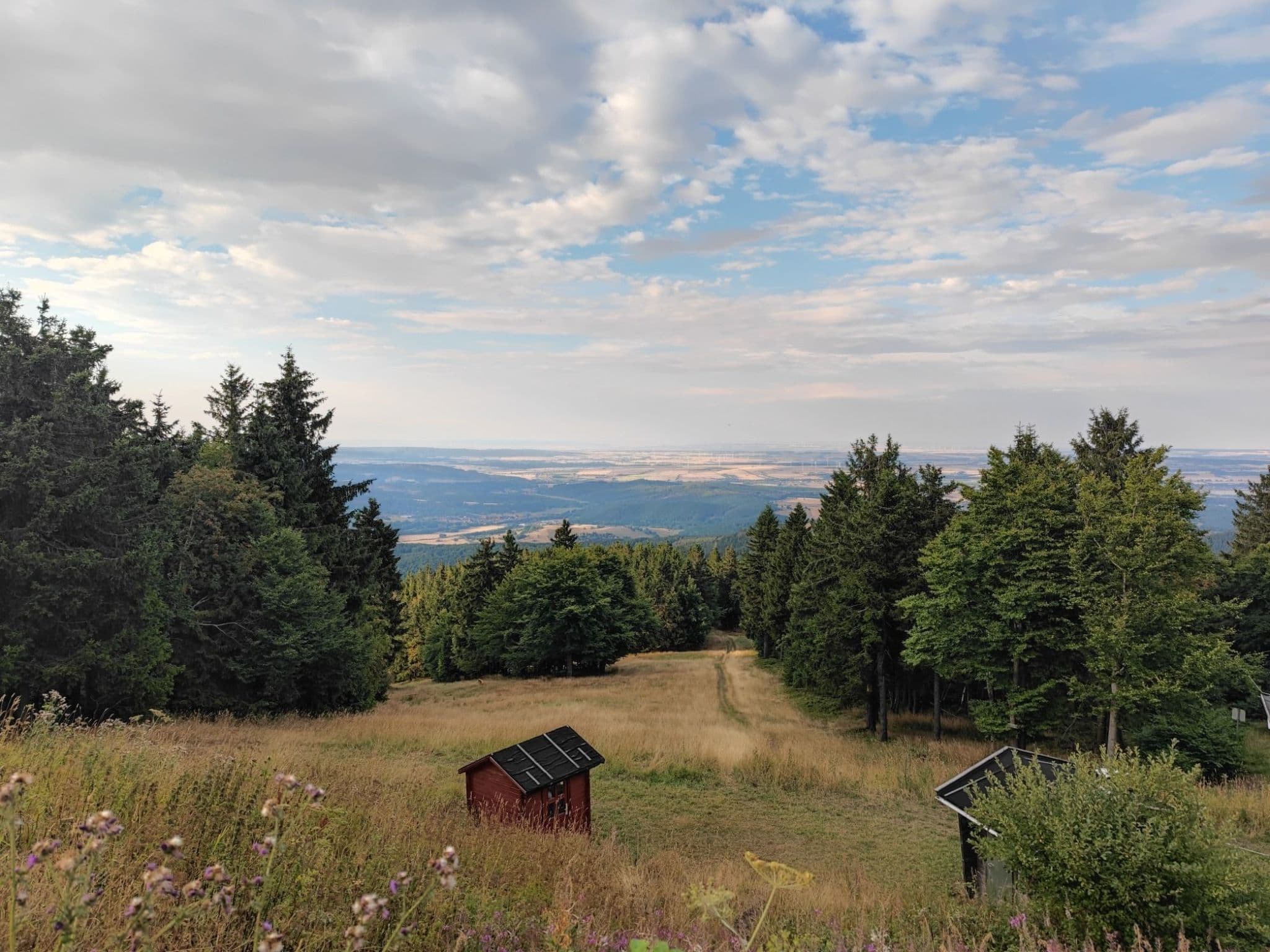 View