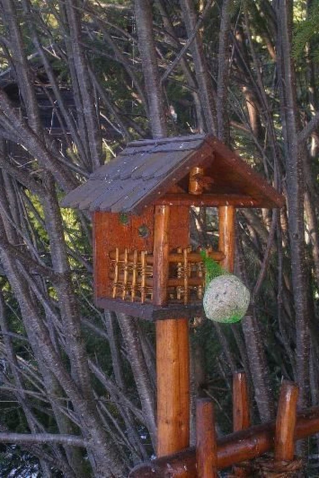 Gallery Image 10