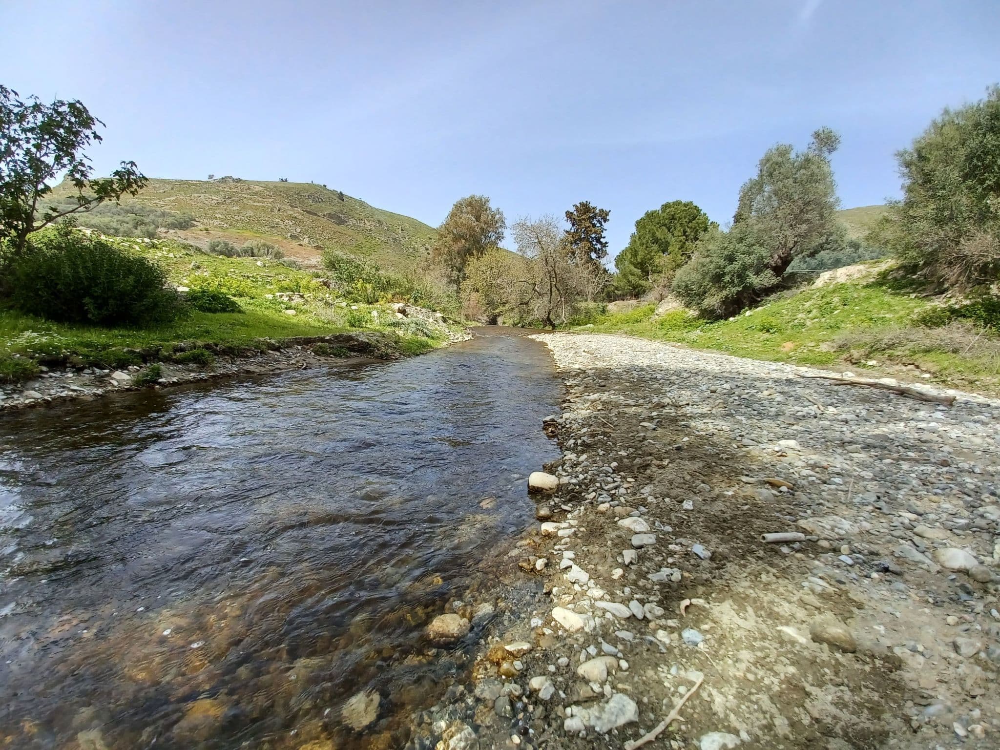 Gallery Image 28