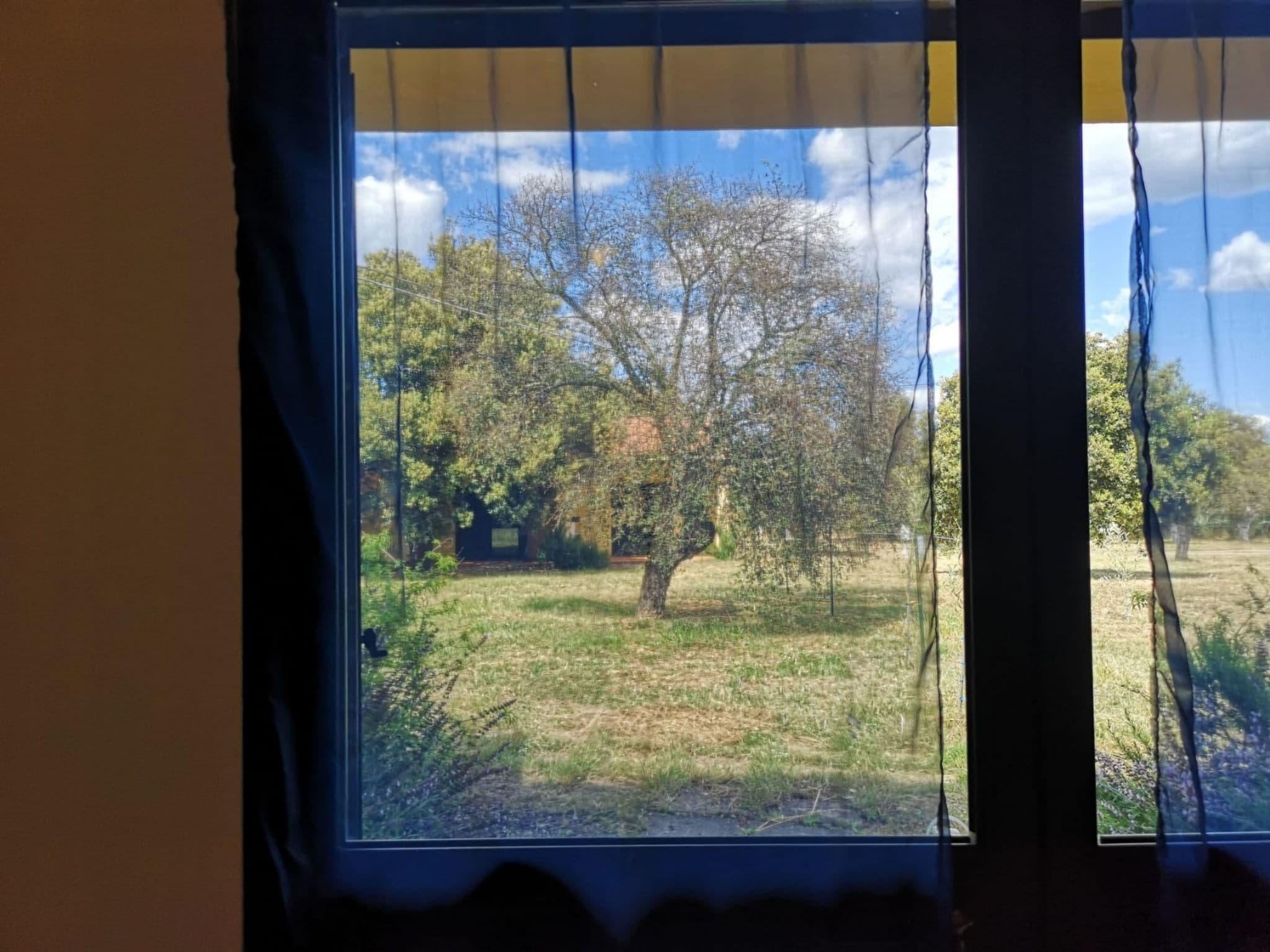 Gallery Image 8