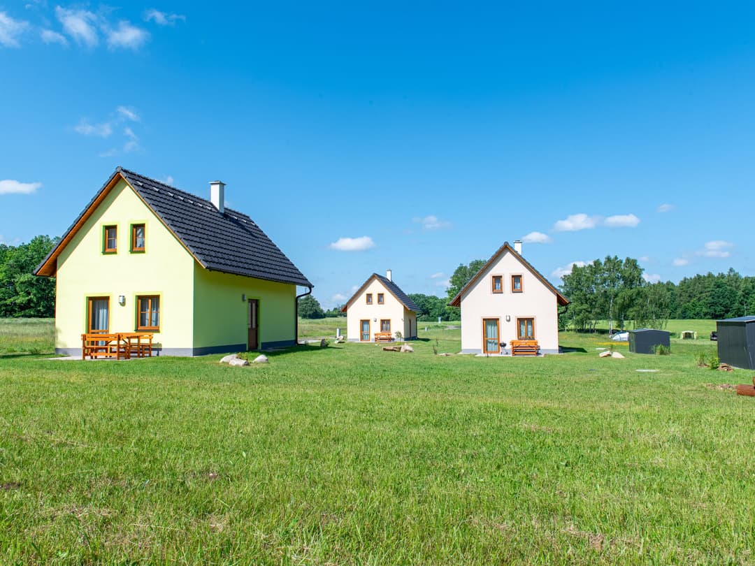 Large Image