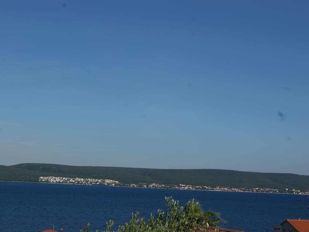 Large Image