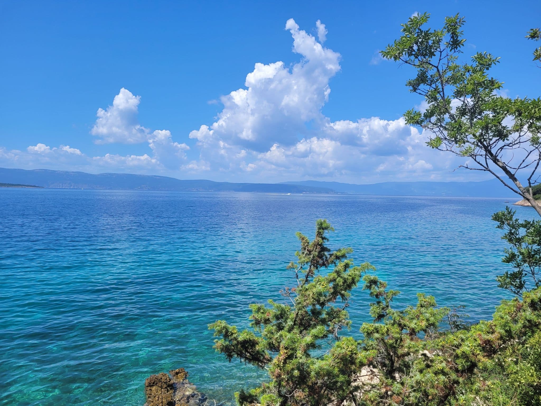 View