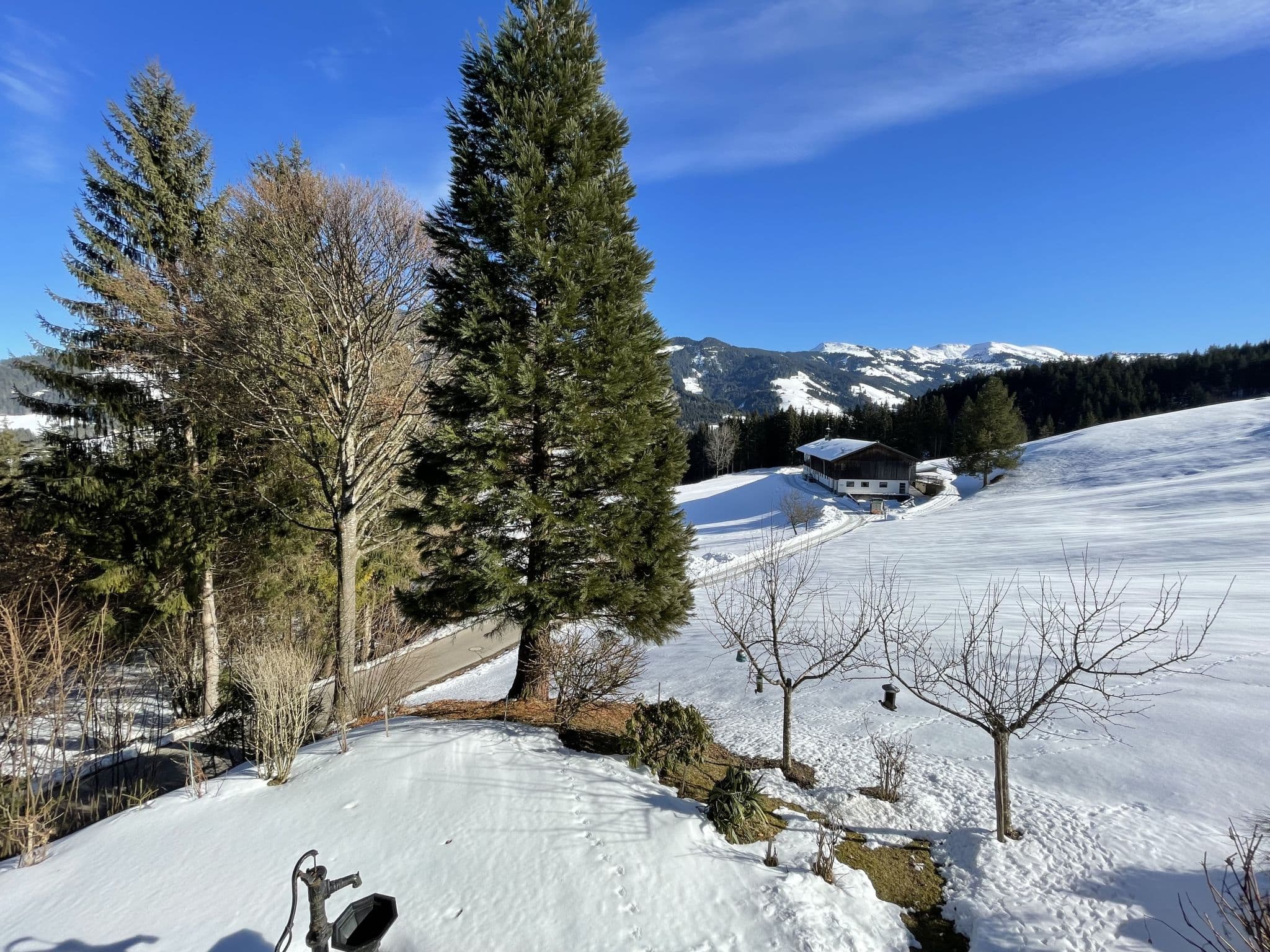 View