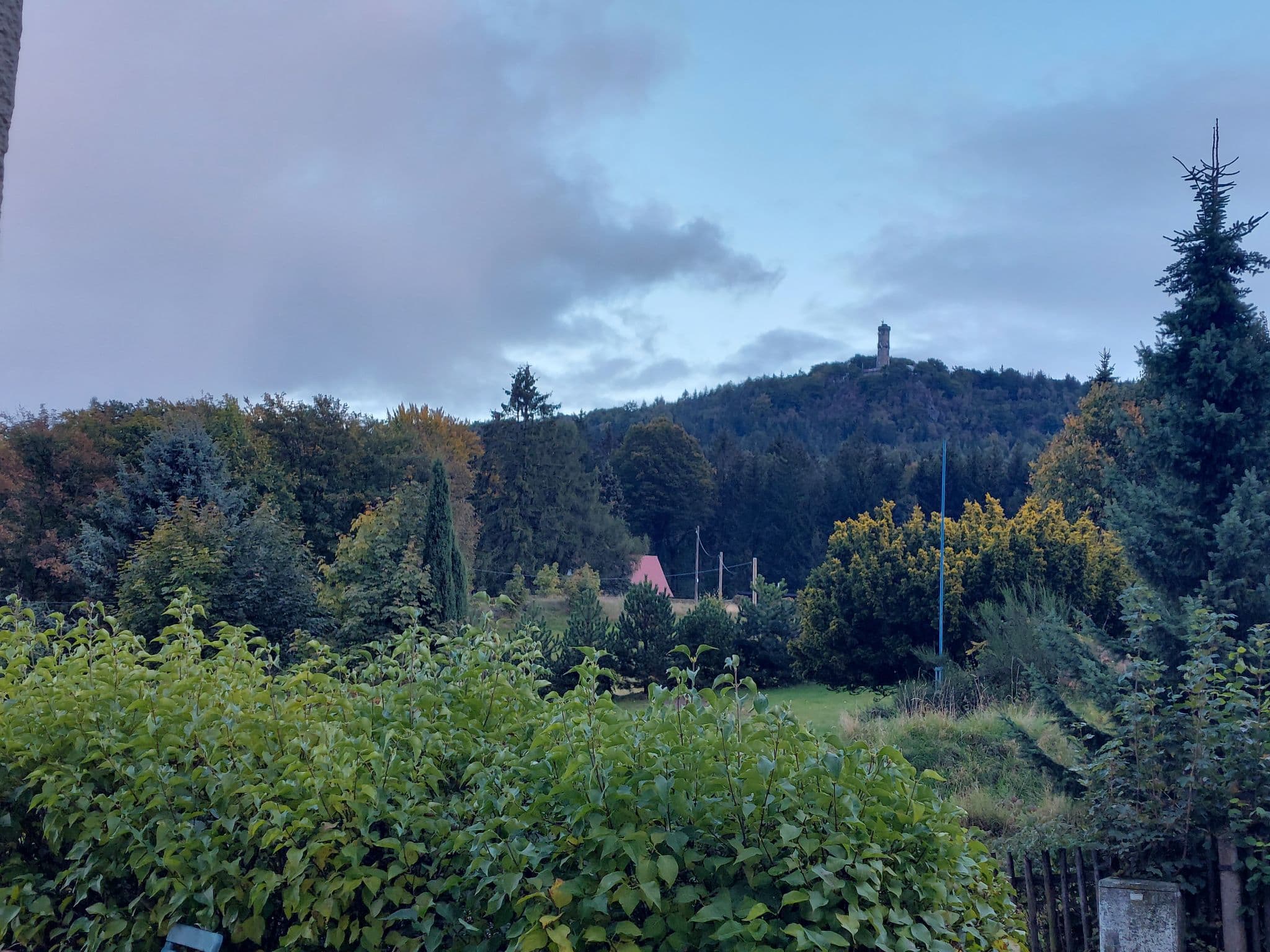 View