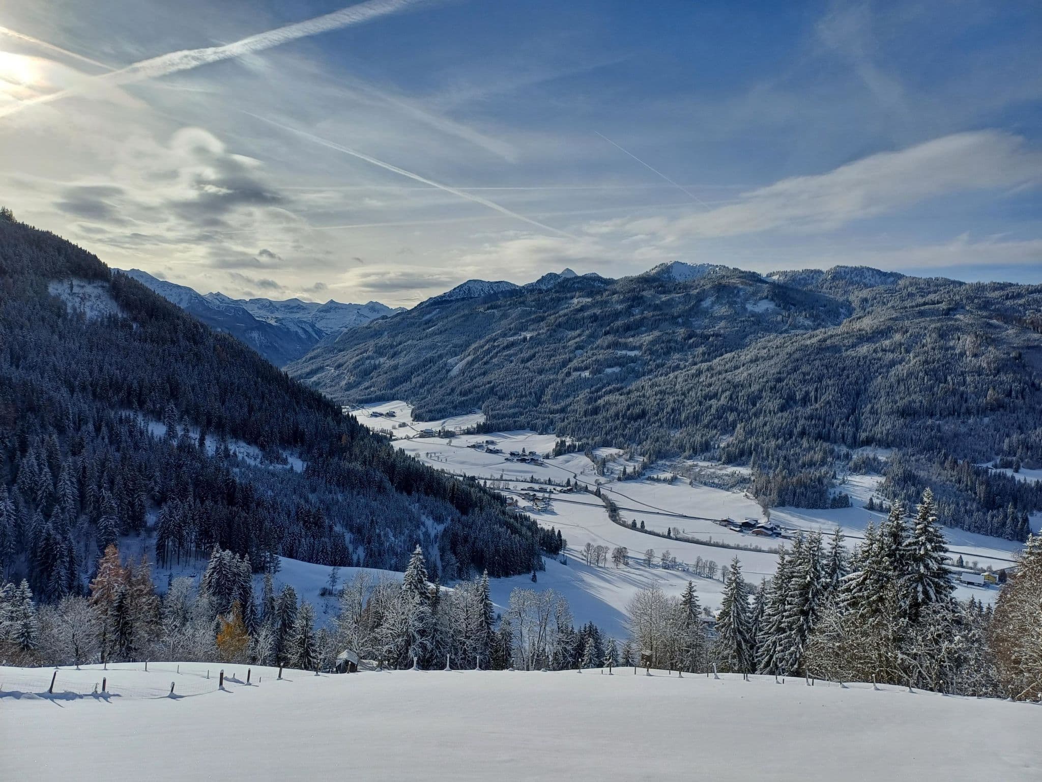 View