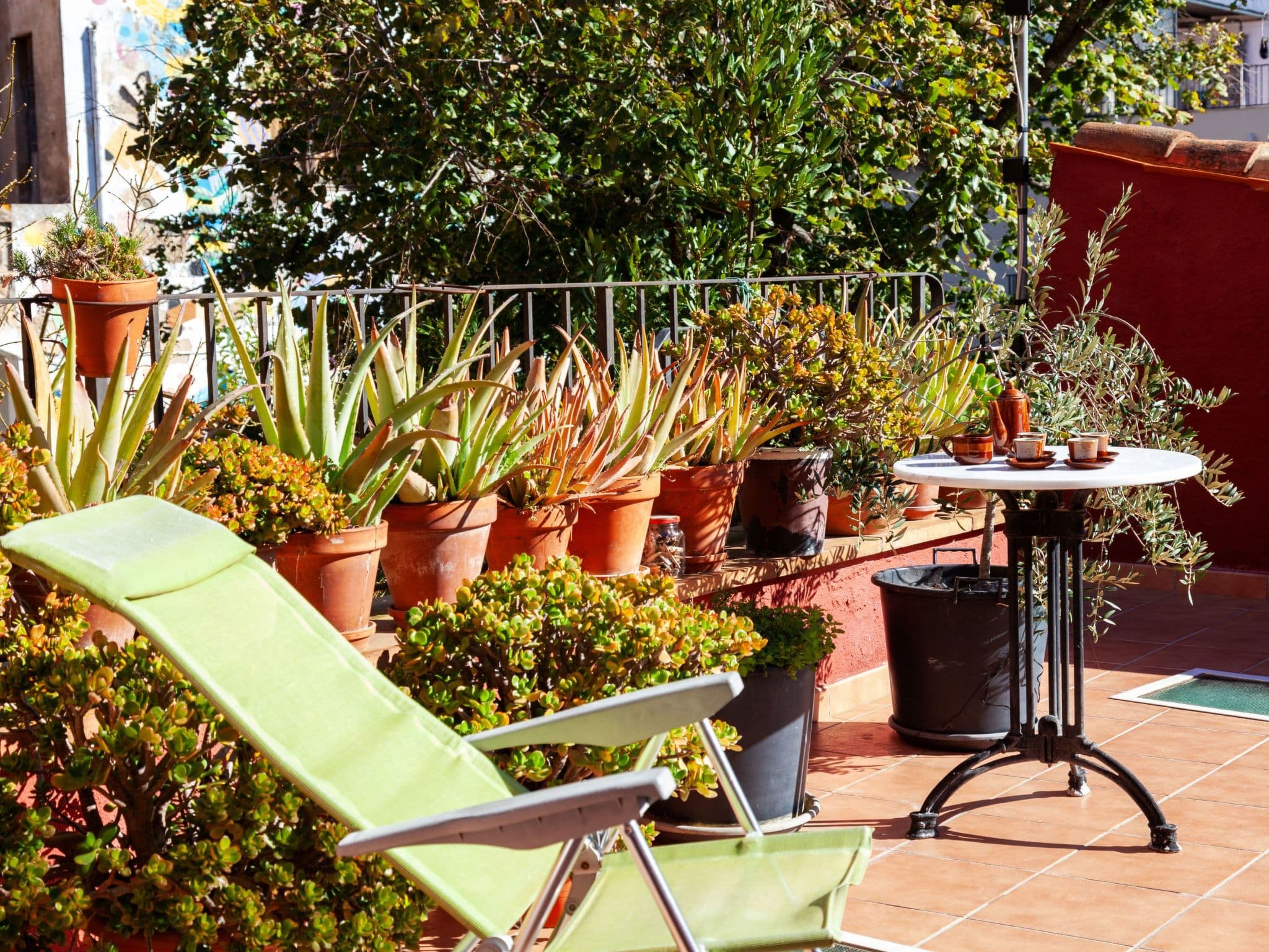 Terrace