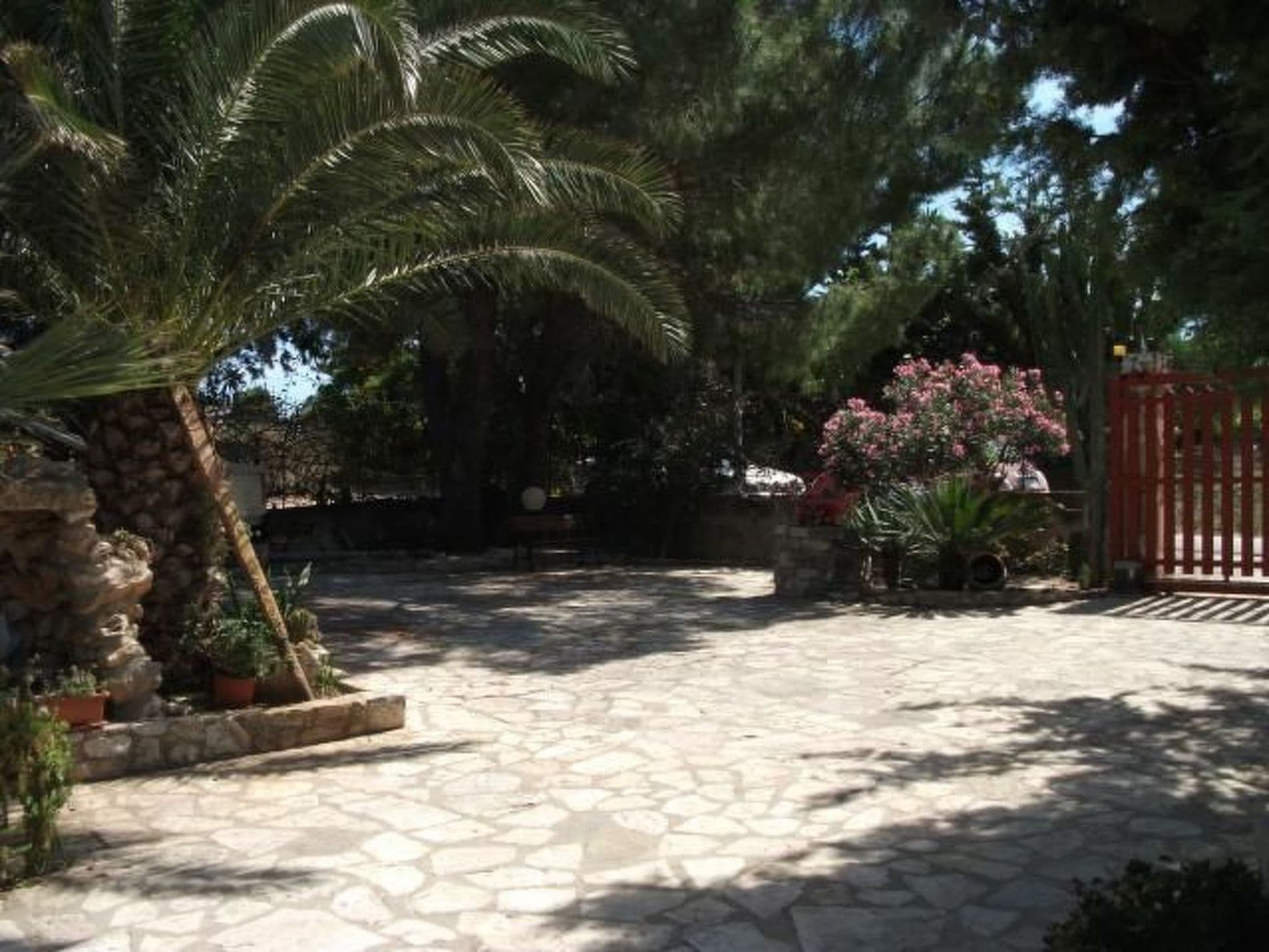Gallery Image 12