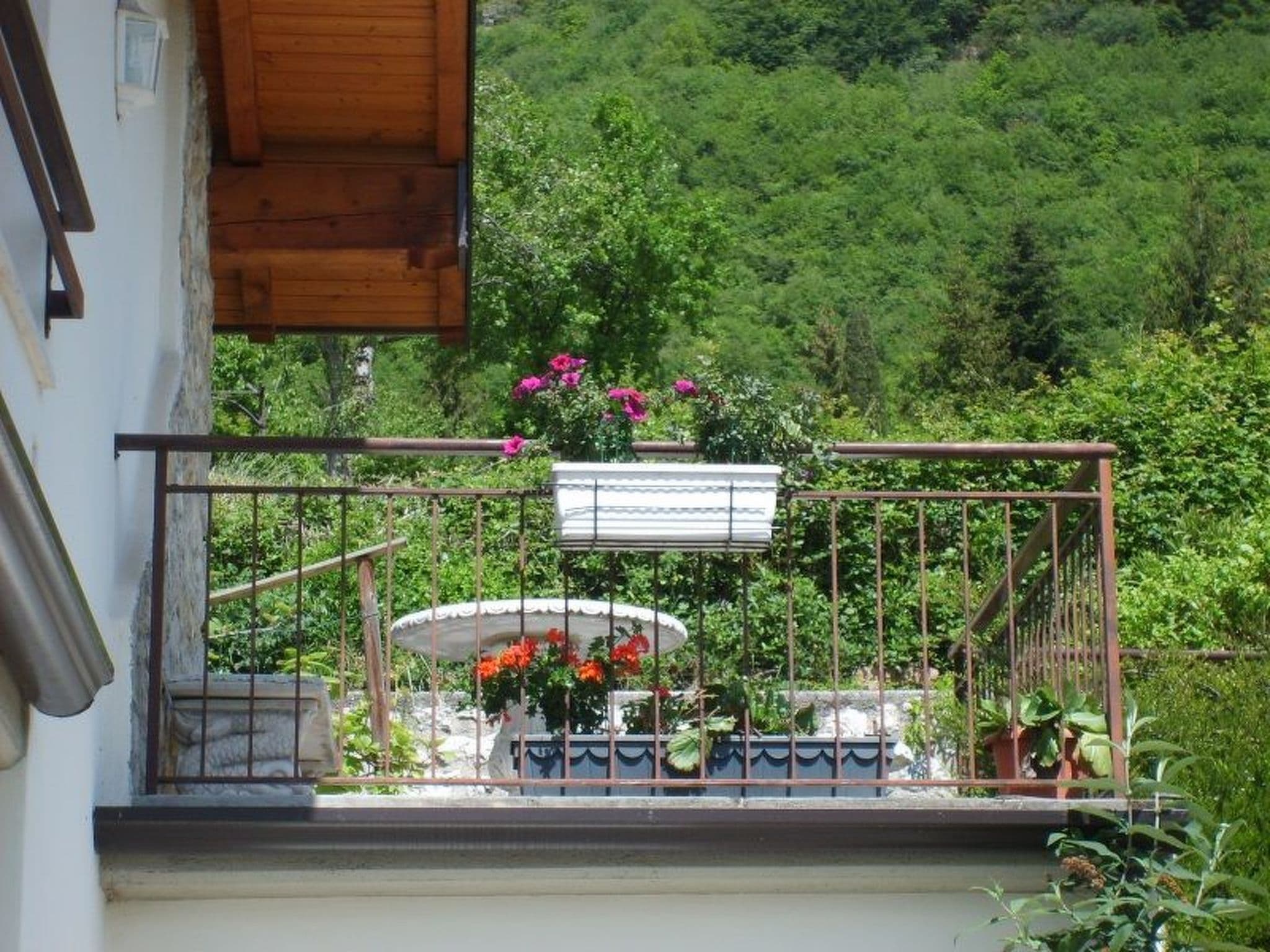 Gallery Image 21