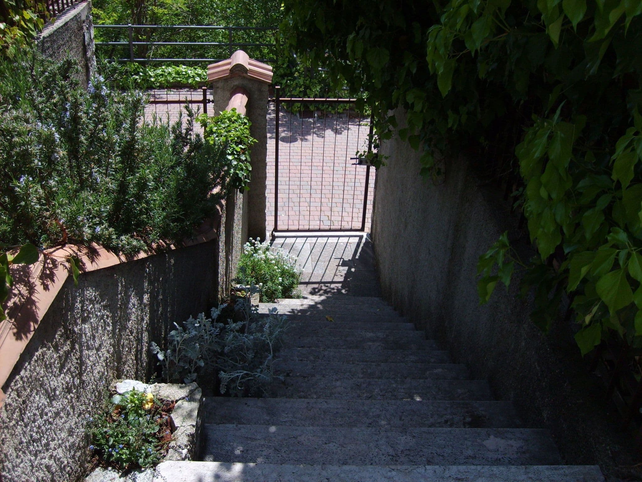 Gallery Image 30