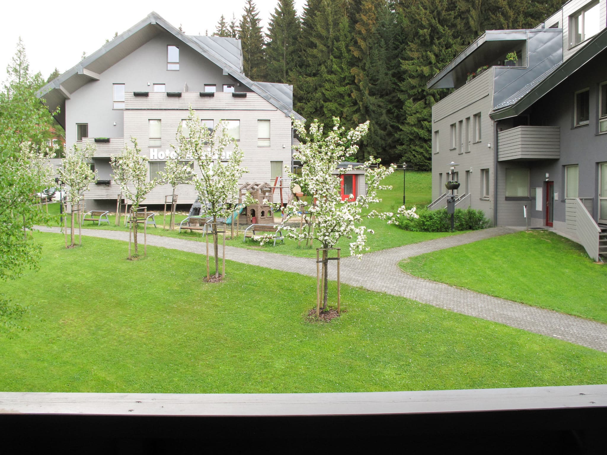 View