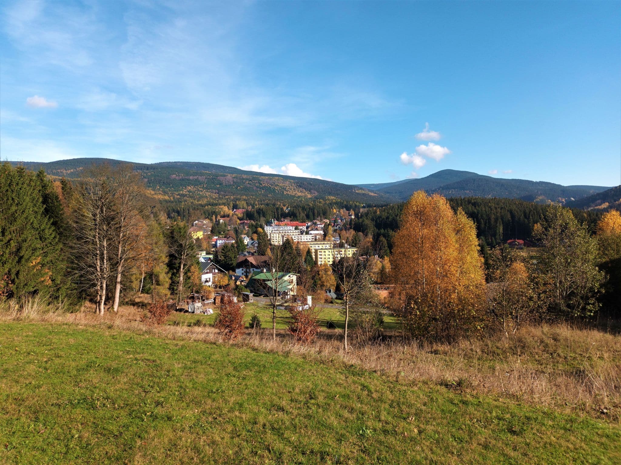 View