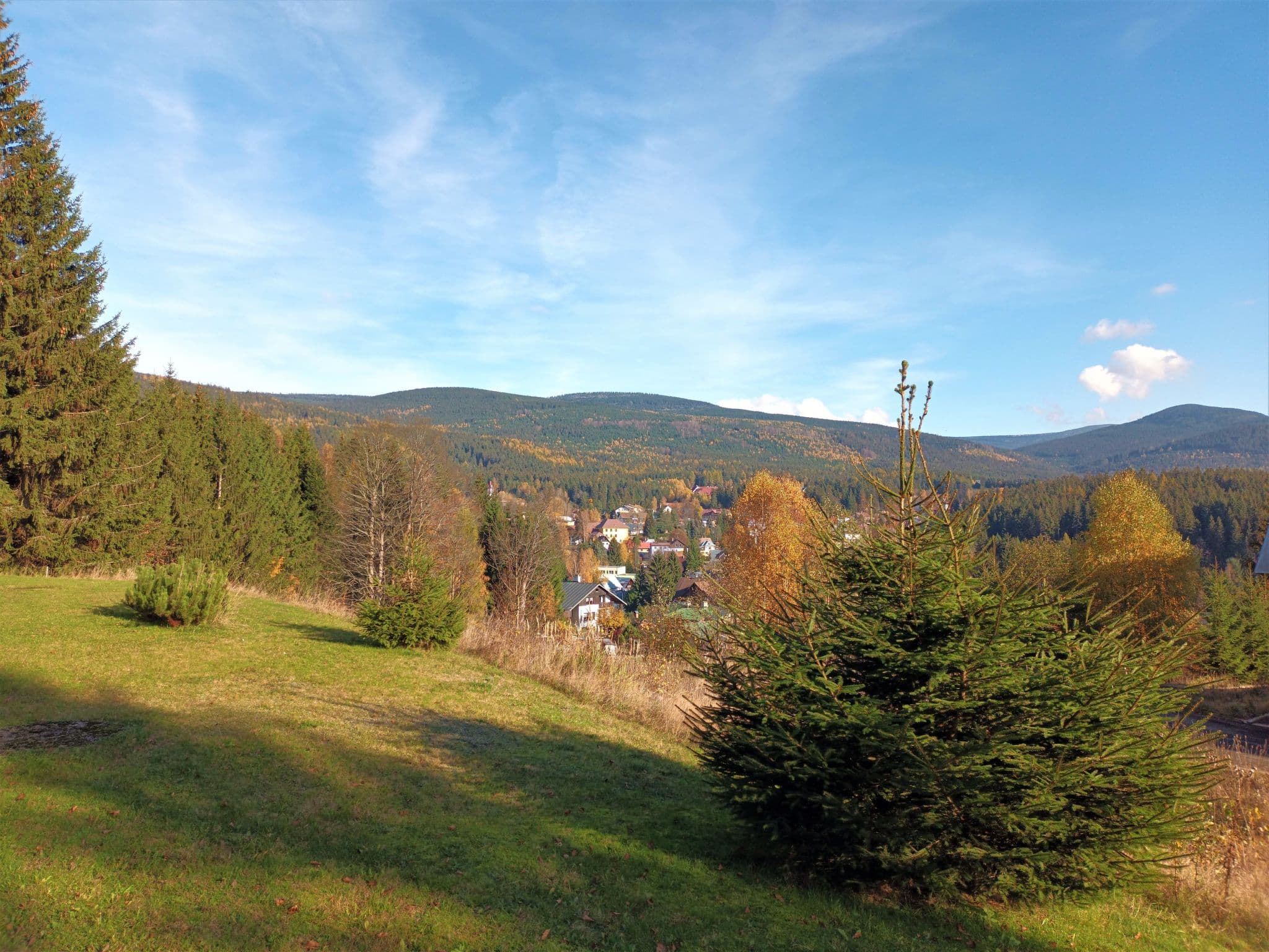 View