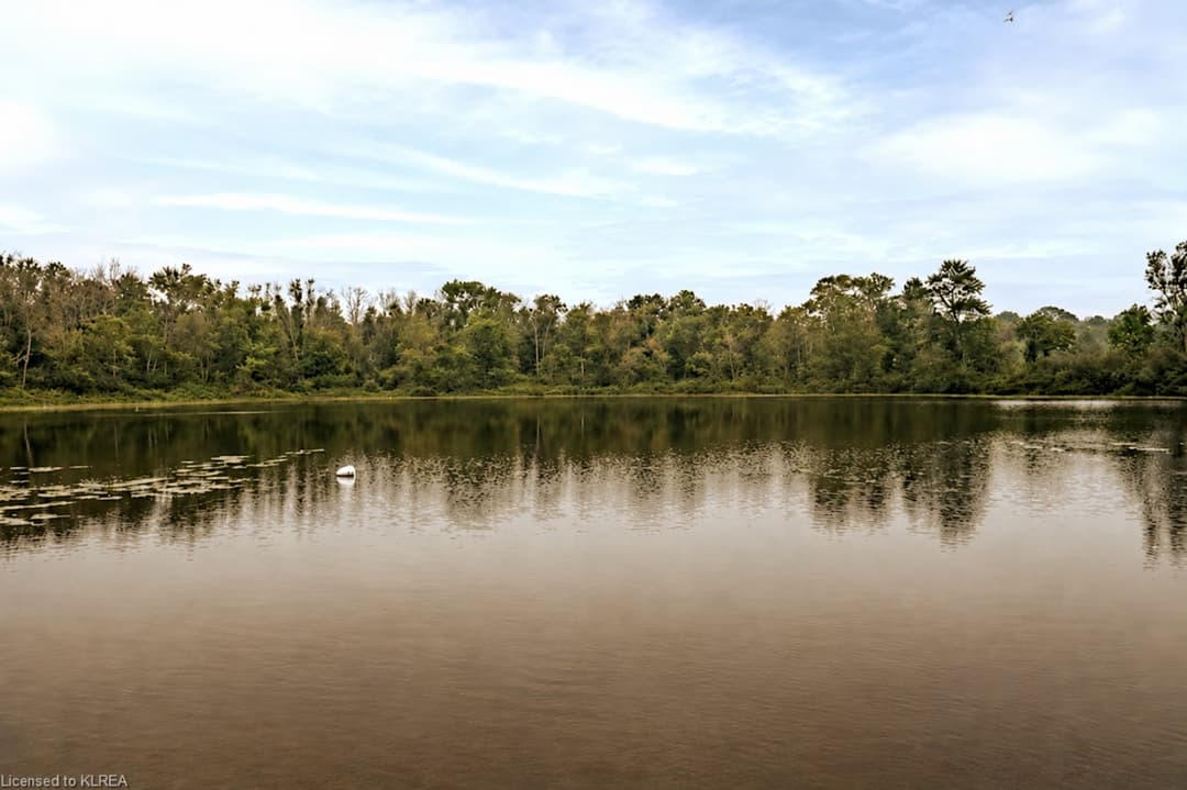 Large Image