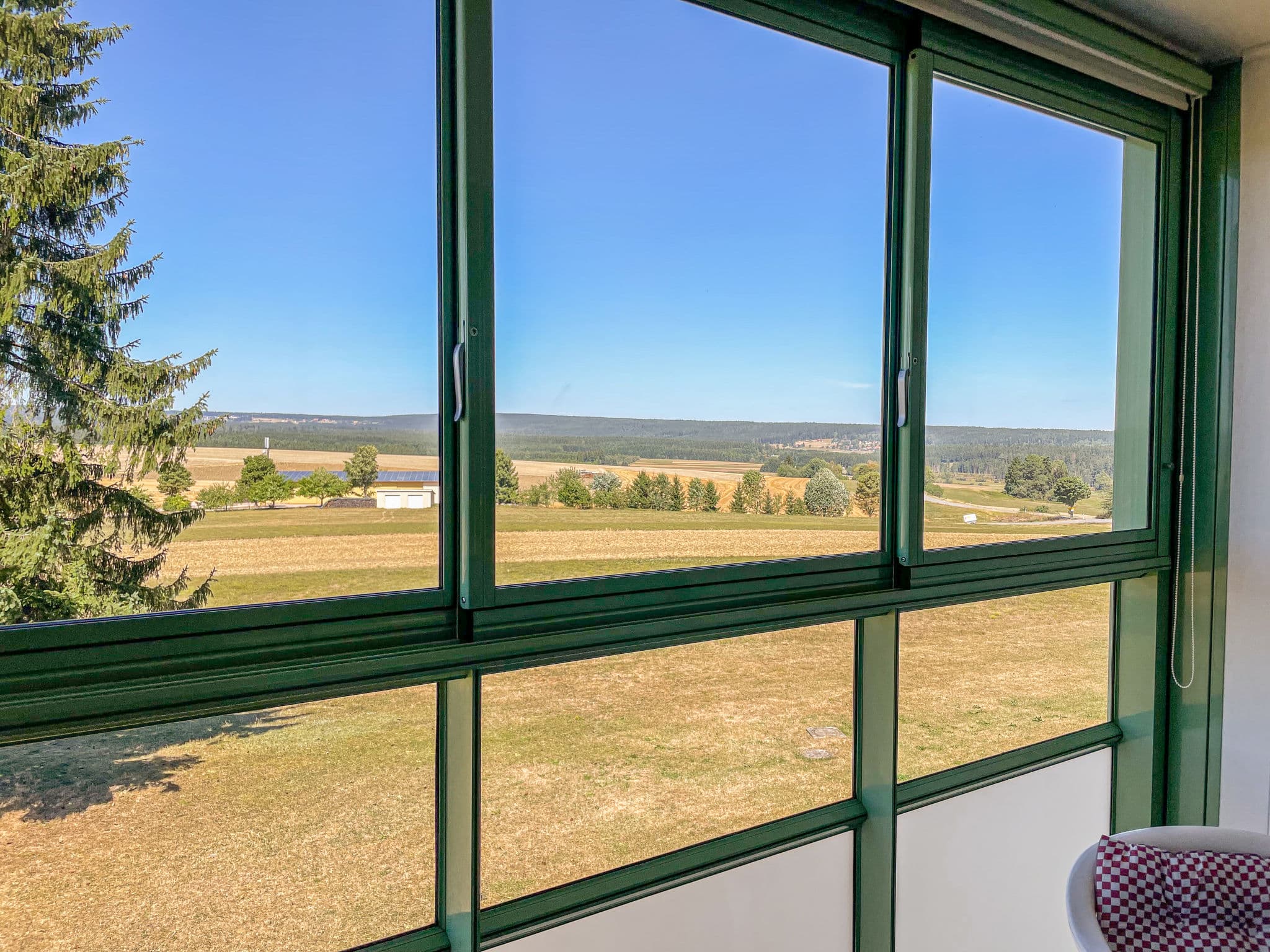 View