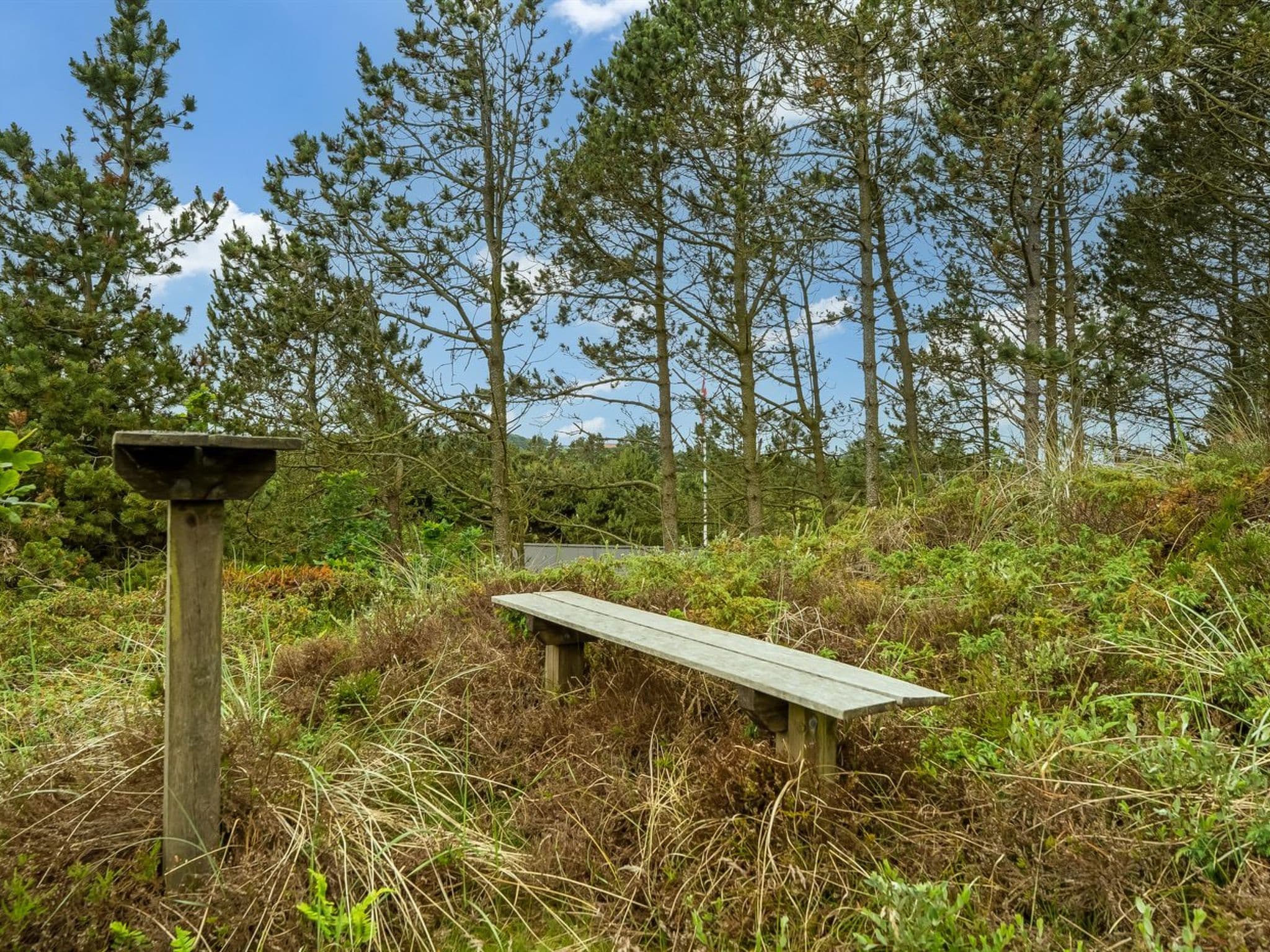 Place
