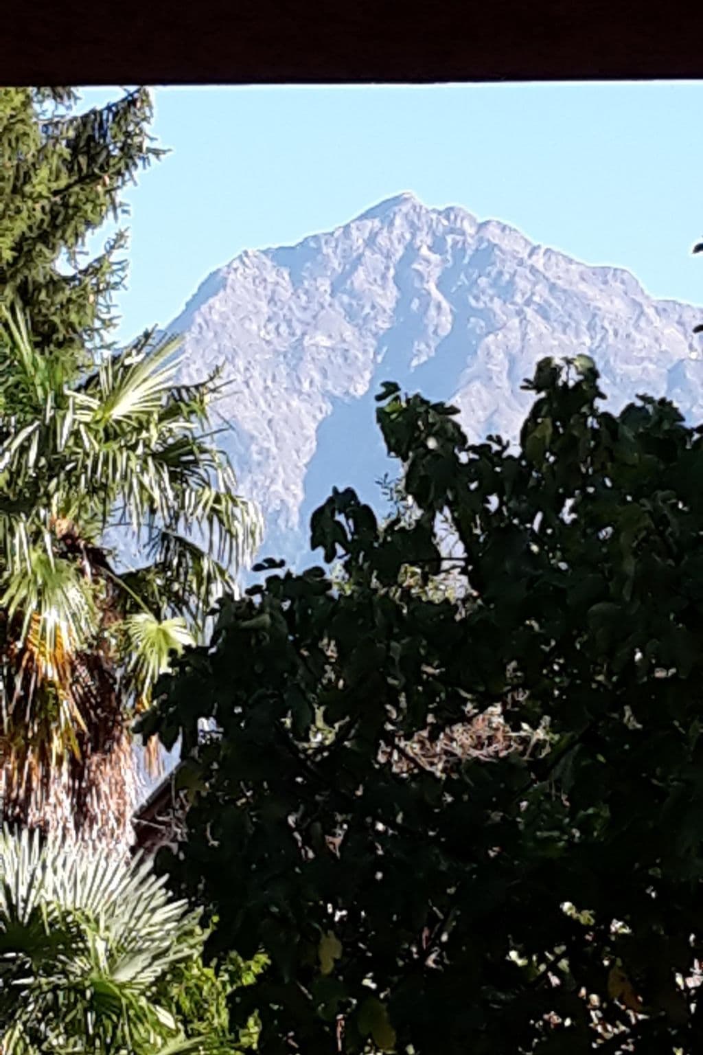 Gallery Image 11
