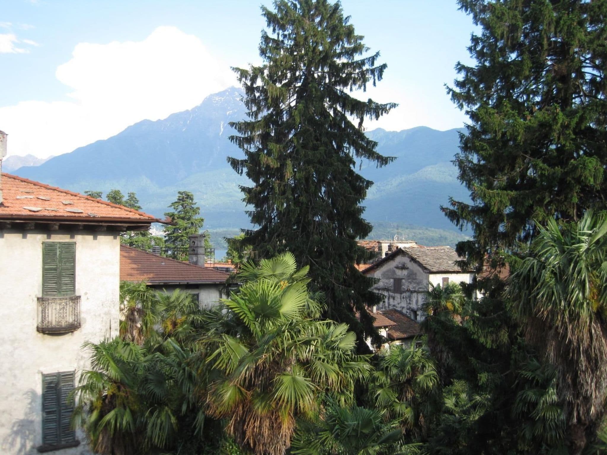 Gallery Image 21