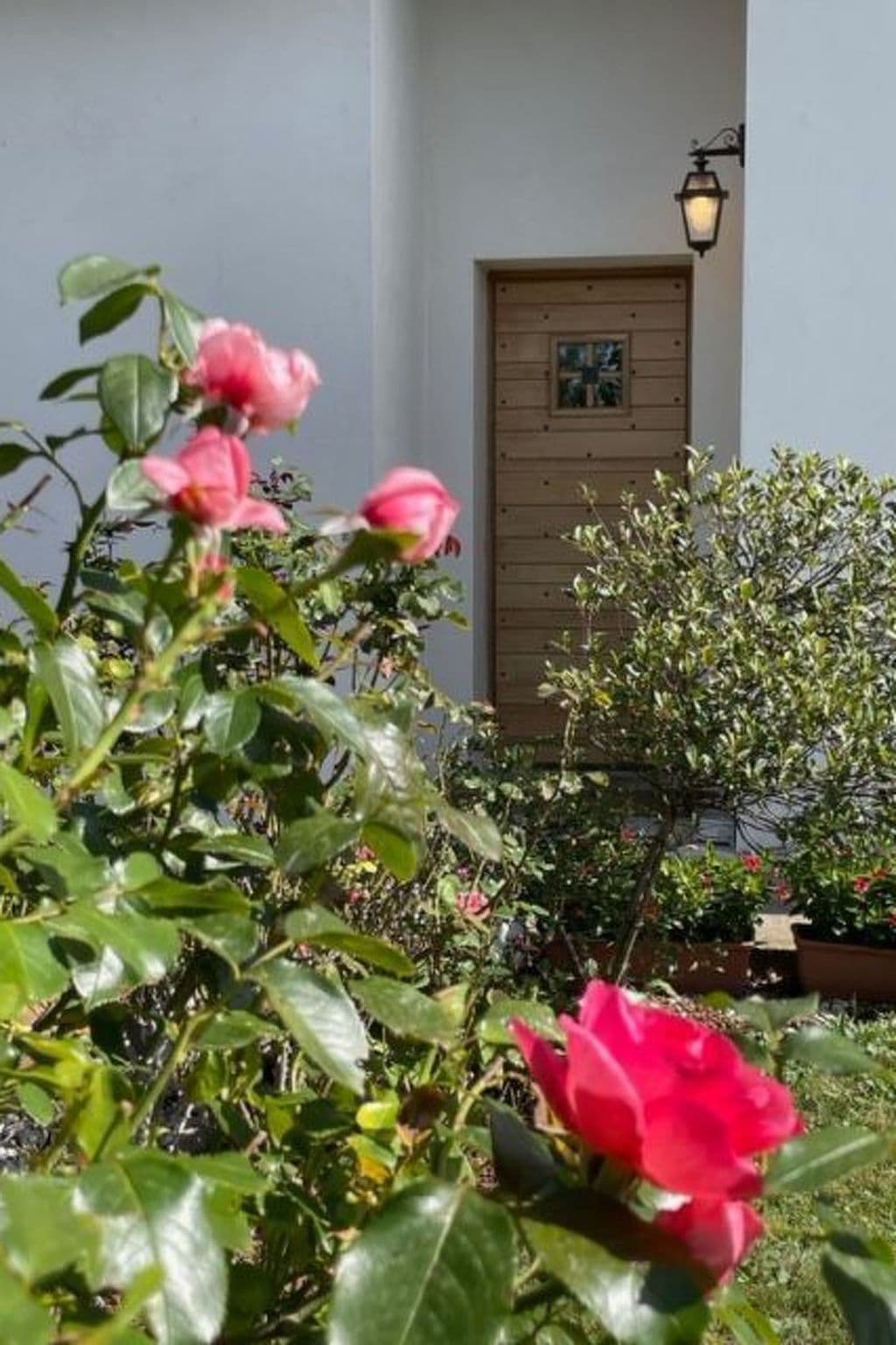 Gallery Image 31