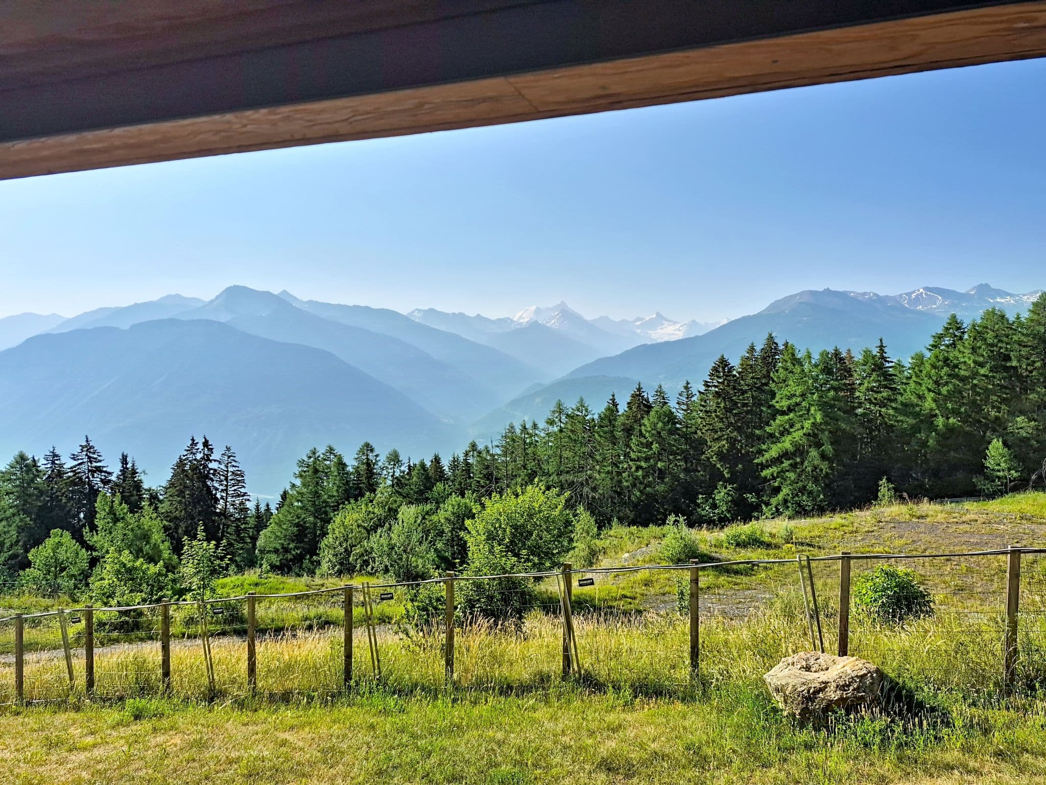 View