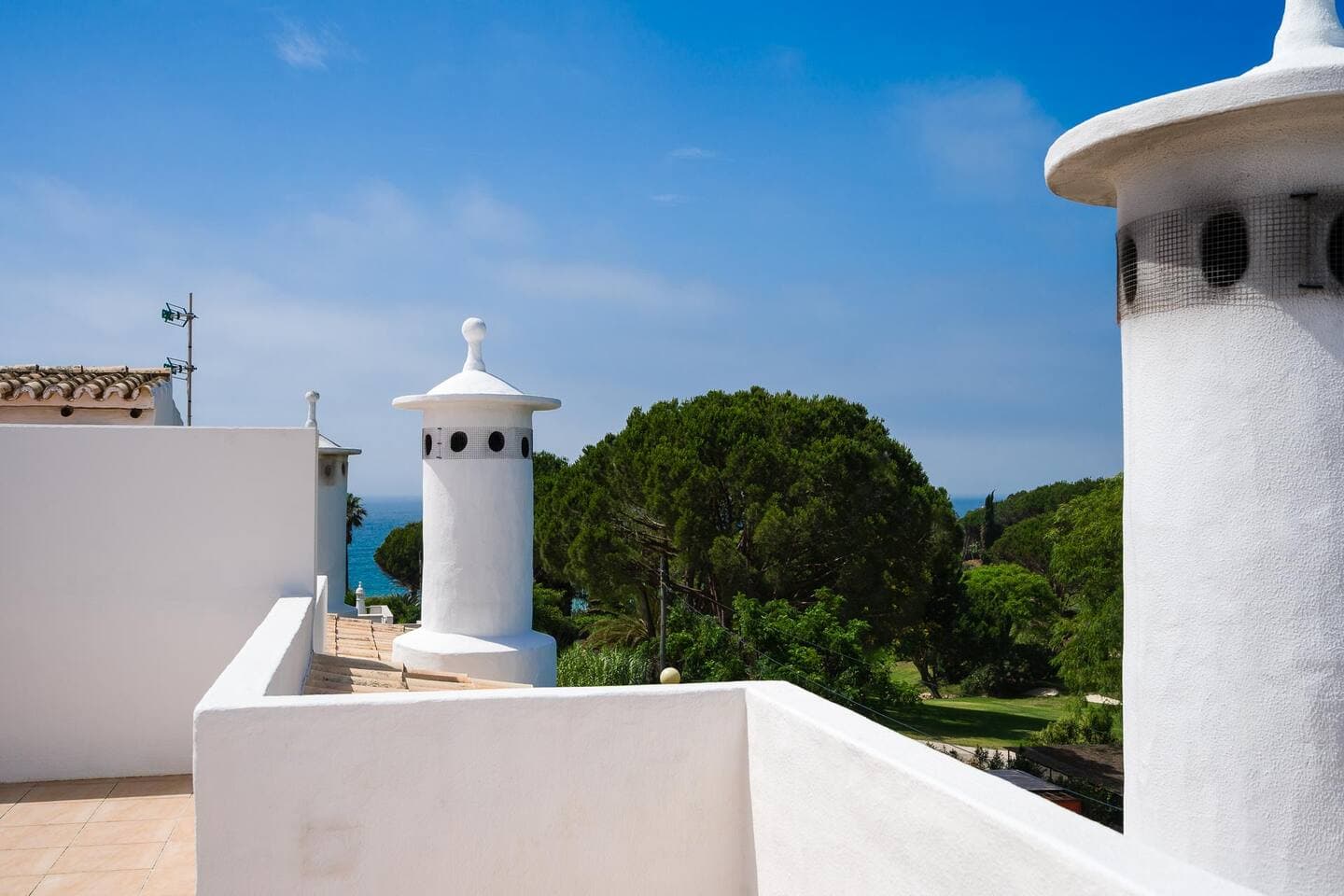 Peaceful views over pine trees and the sea.