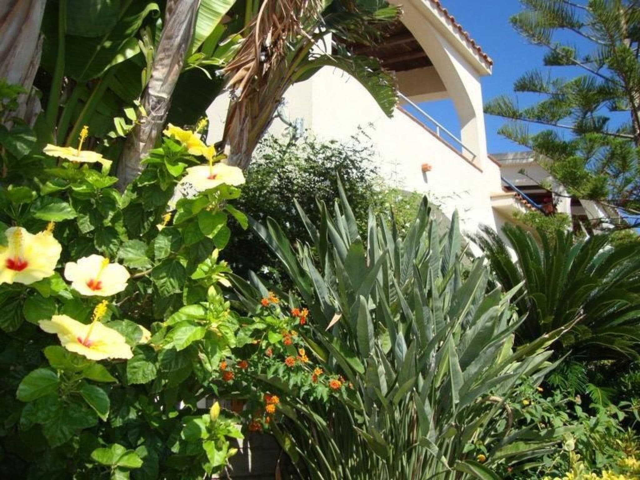 Gallery Image 38