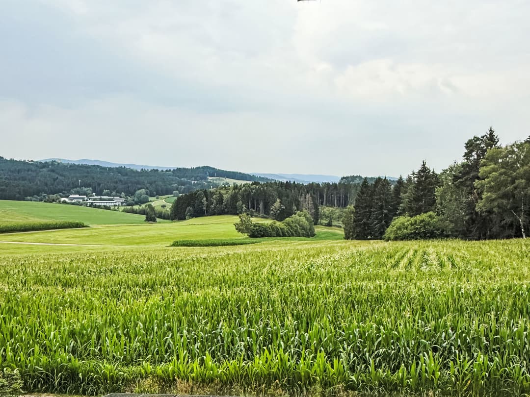 Large Image
