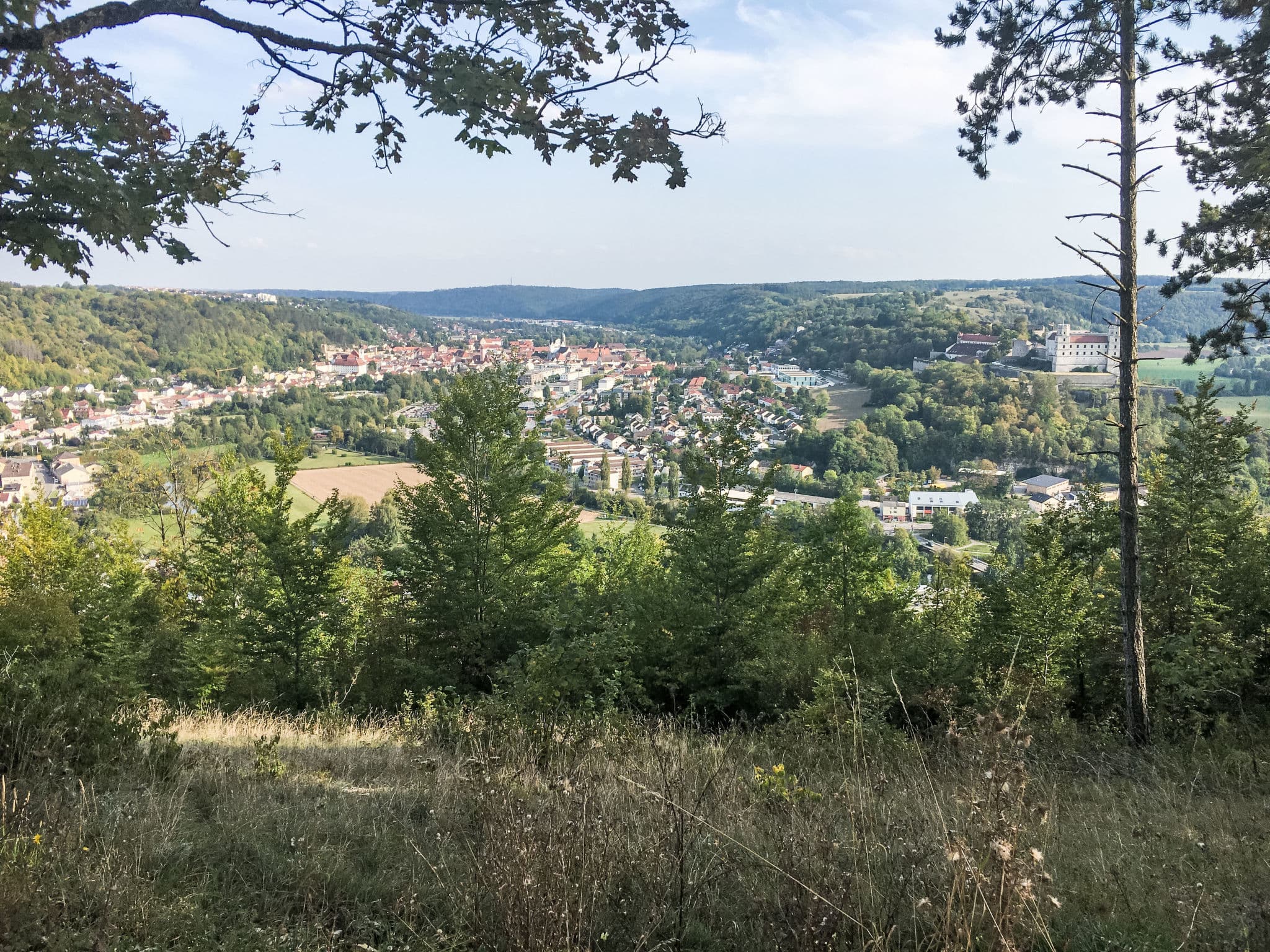 View