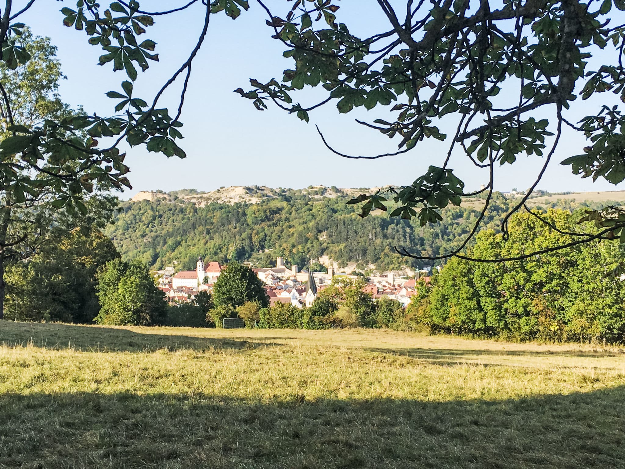 View