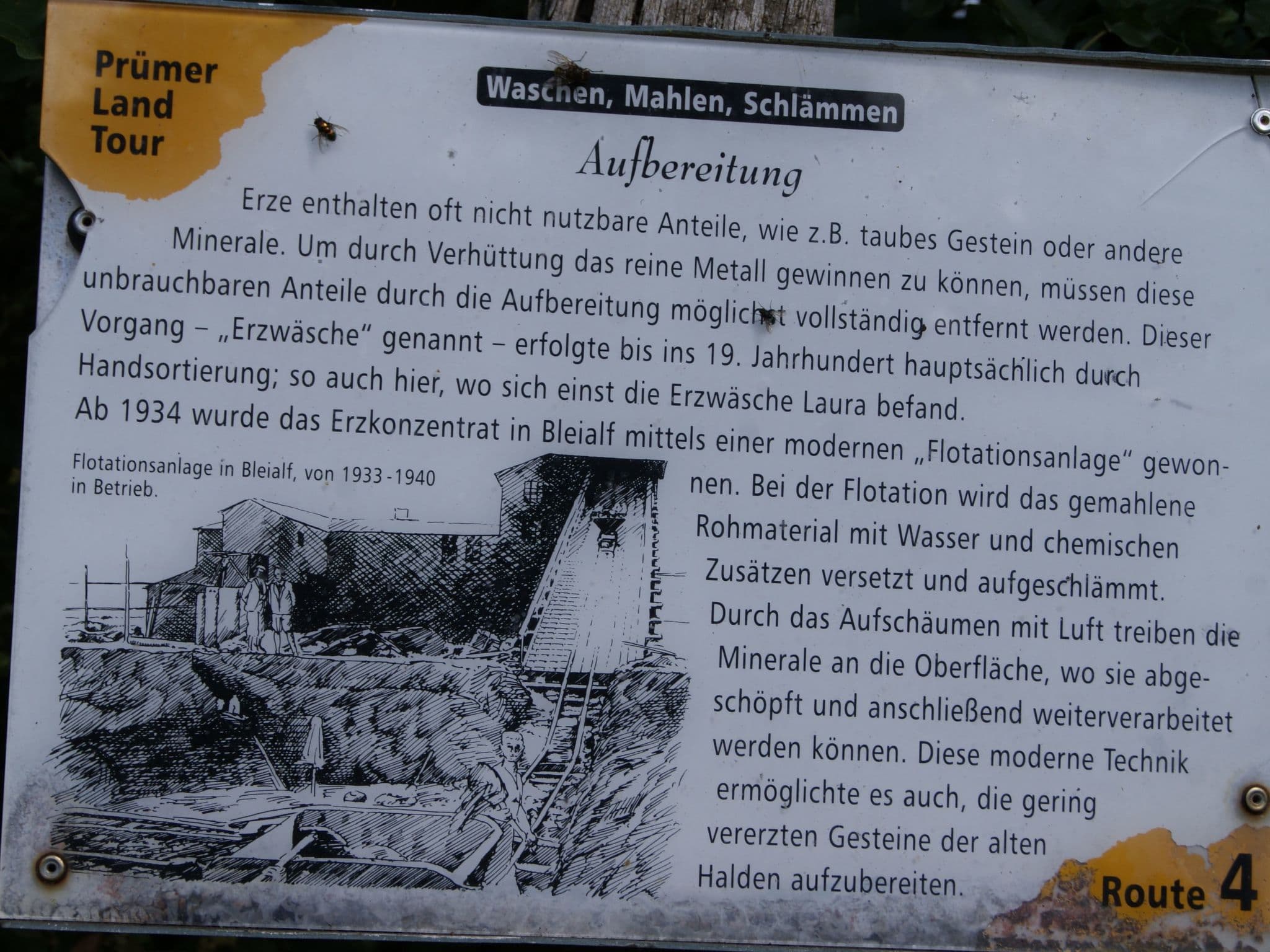 Gallery Image 17