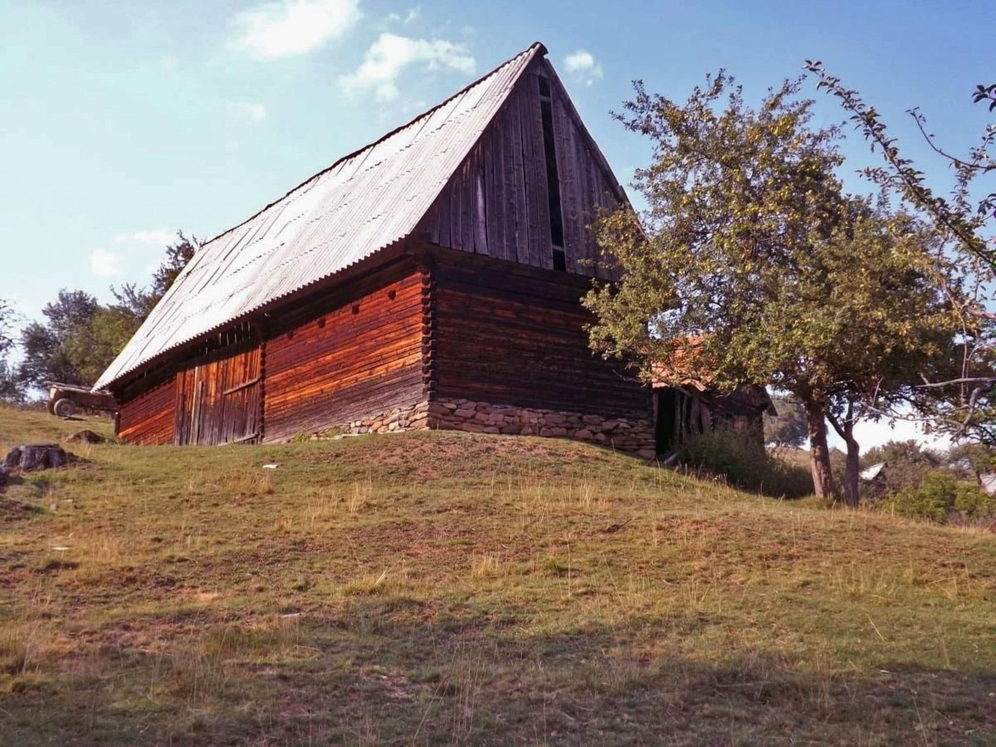 Gallery Image 5