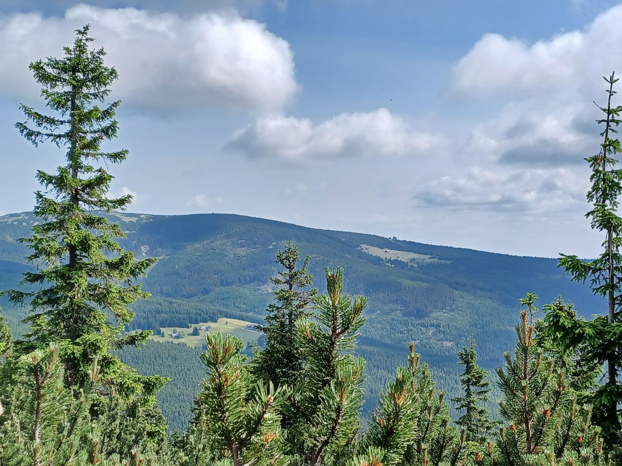 Place