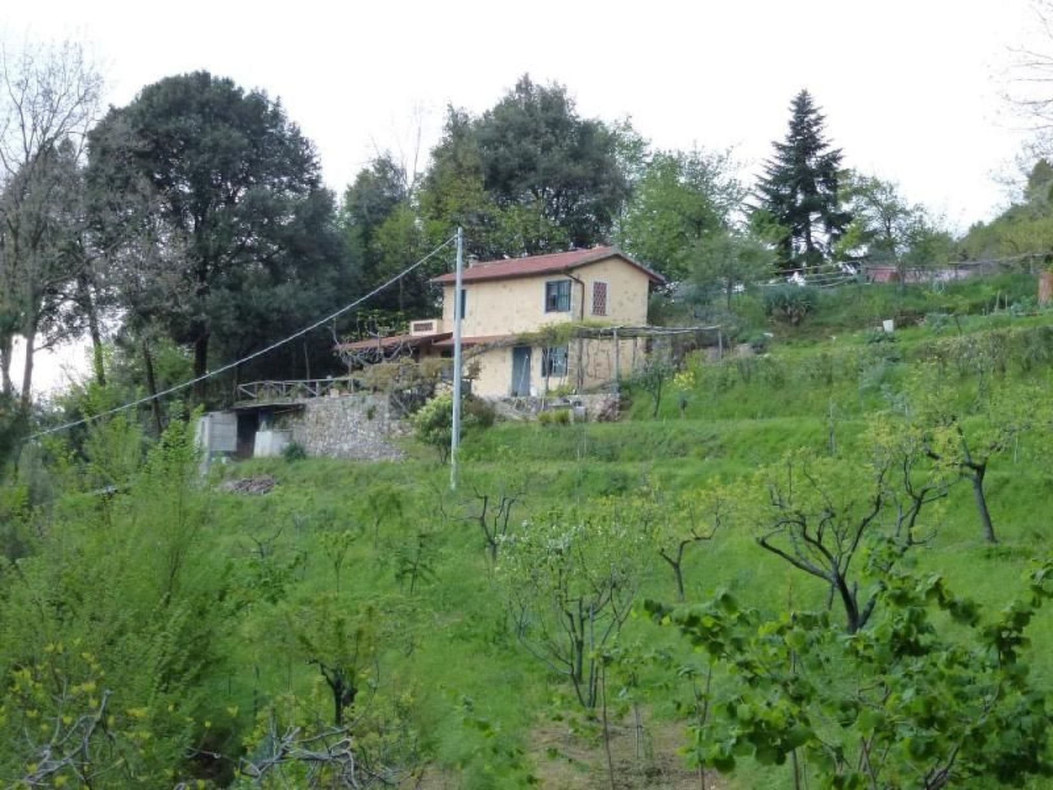 Gallery Image 6