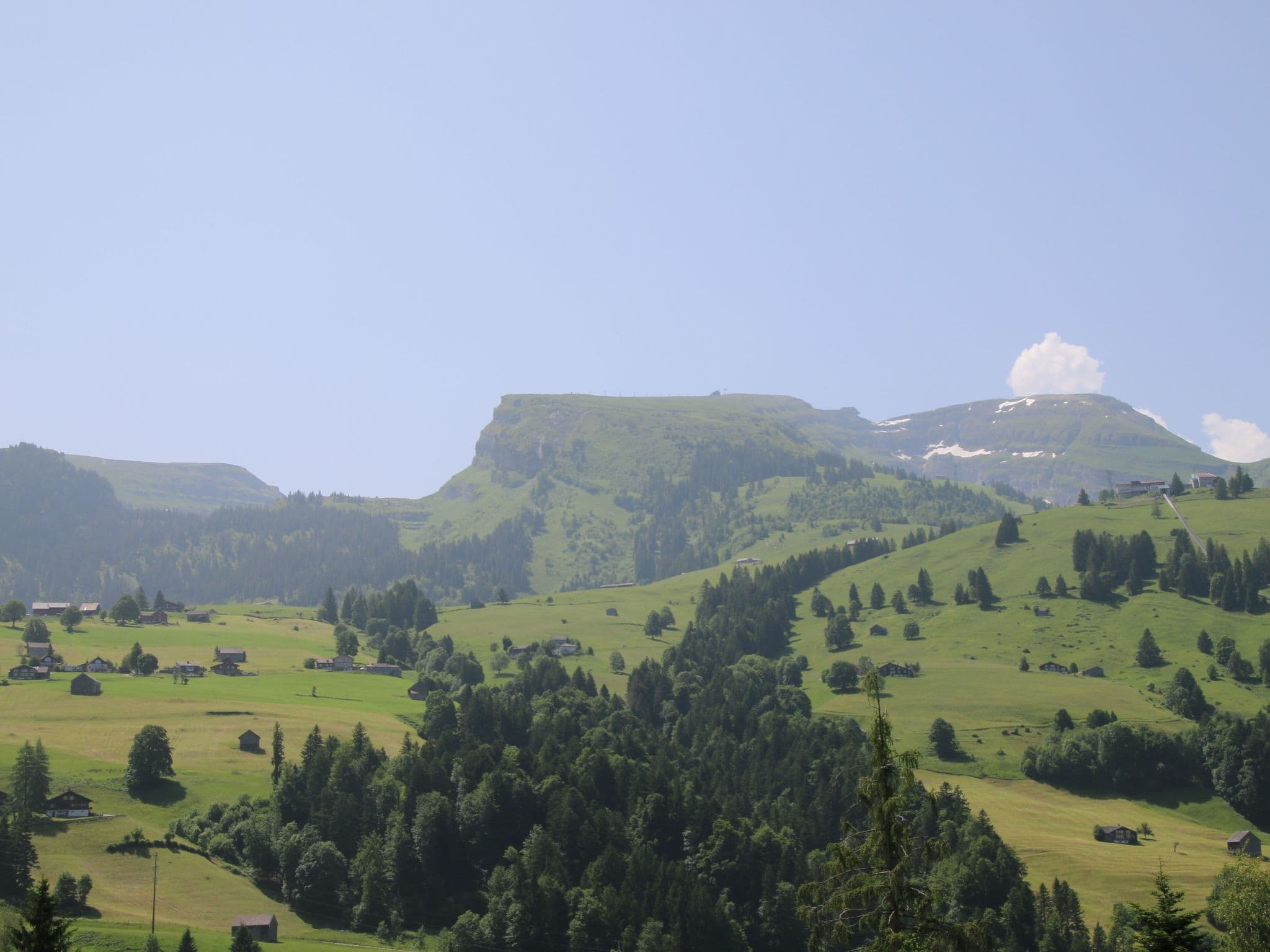 View