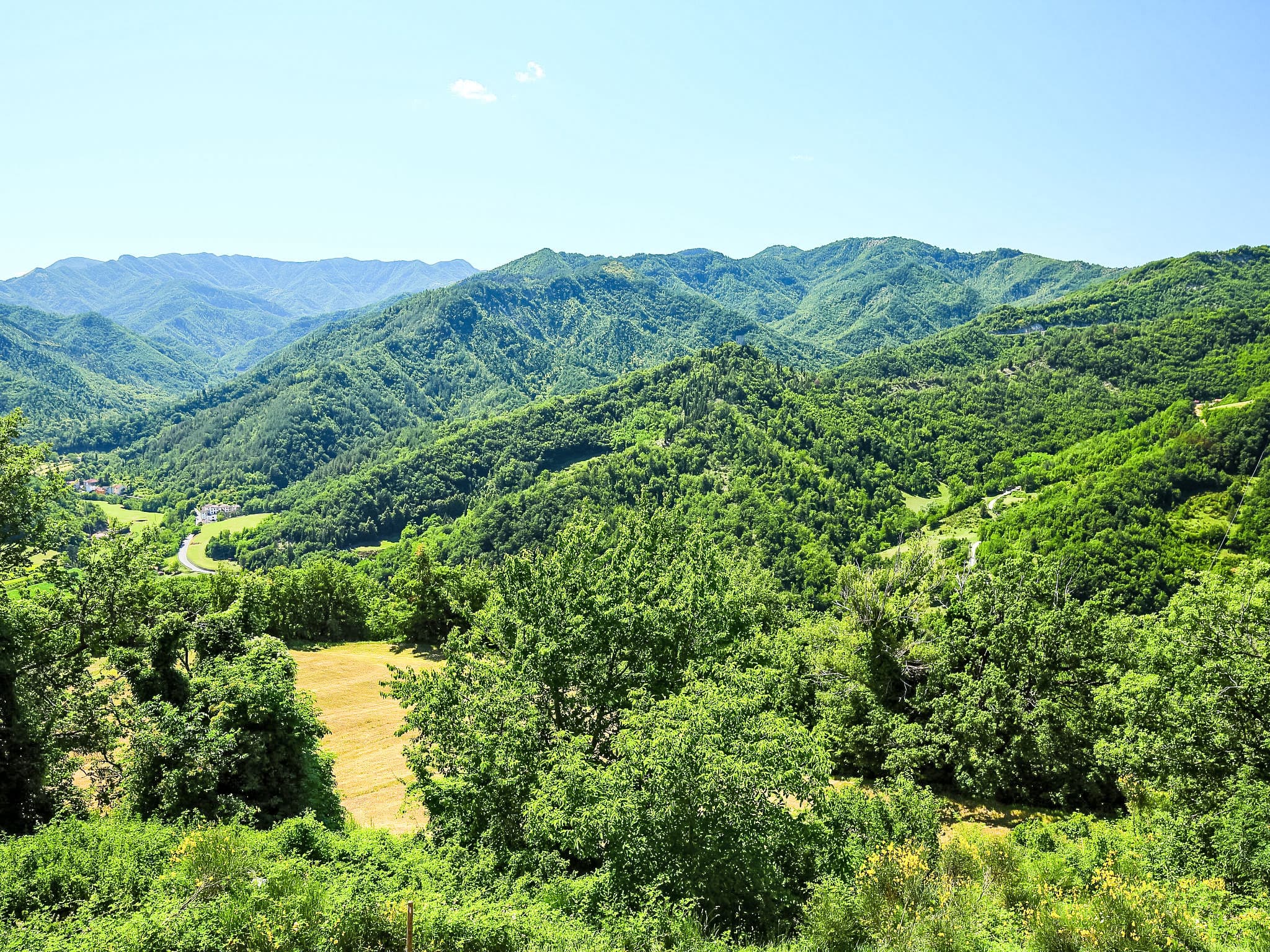 View