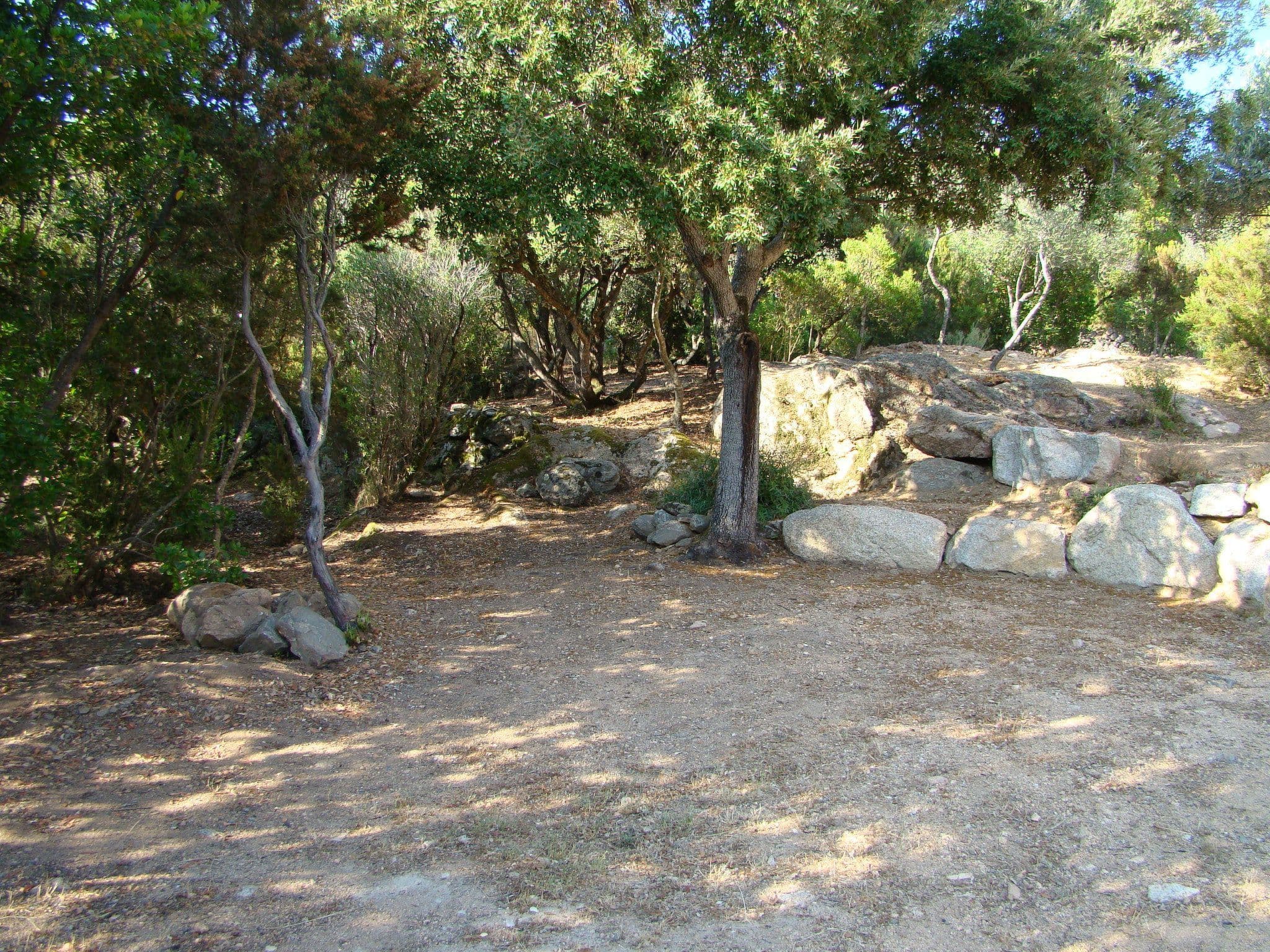 Gallery Image 17