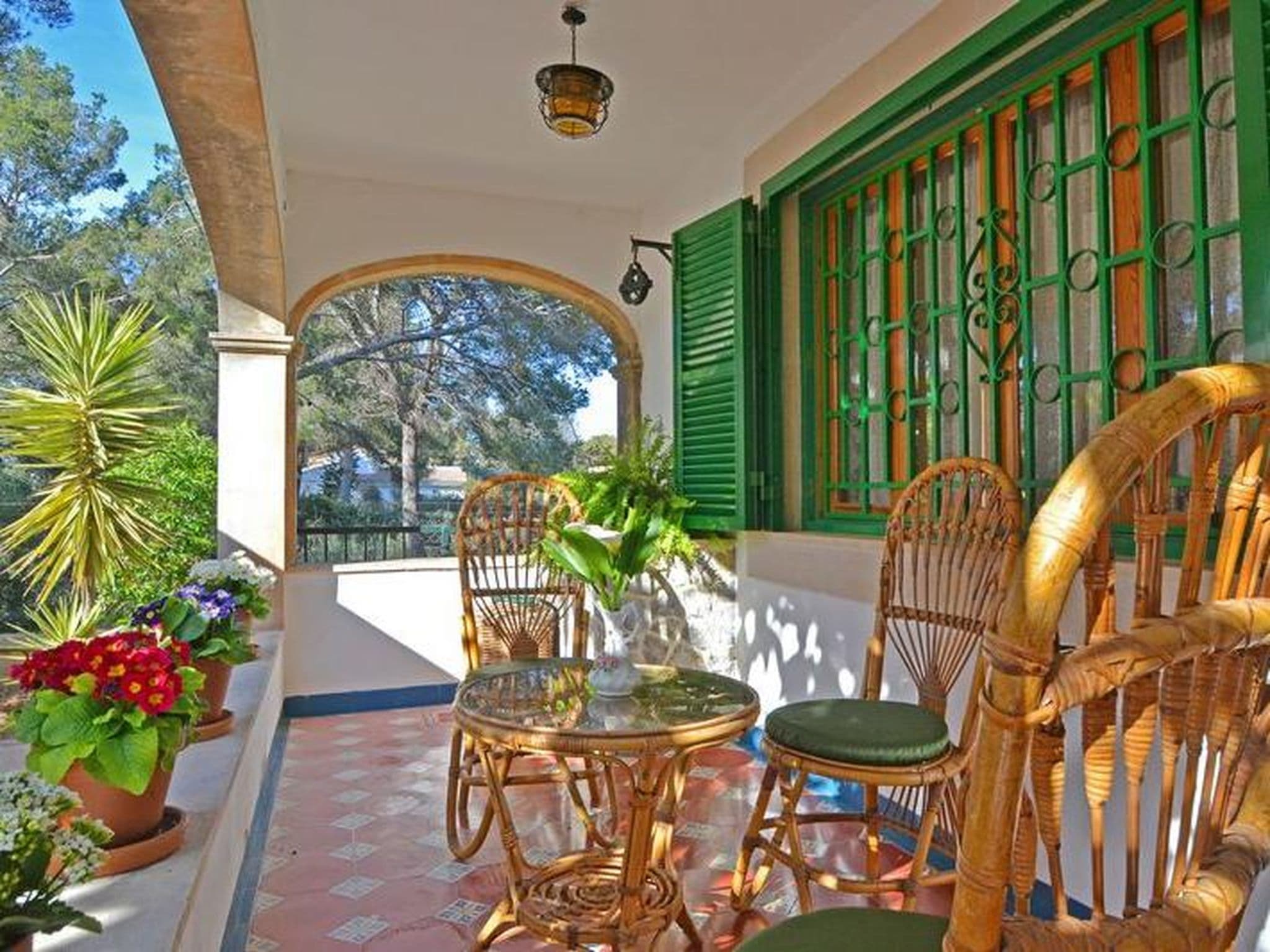 Terrace