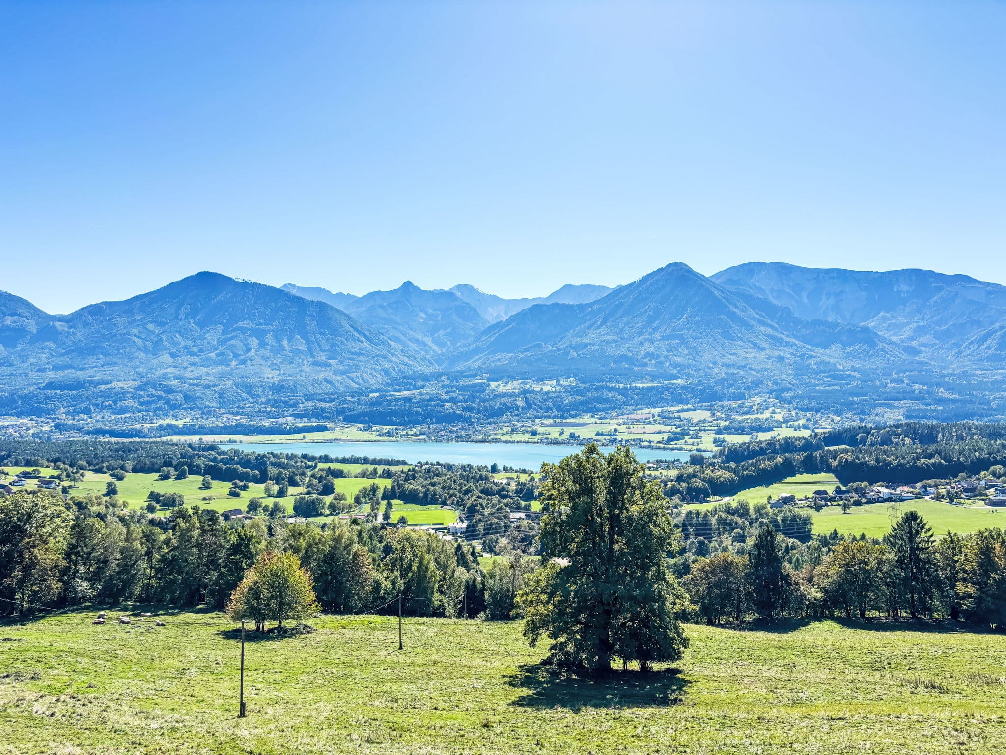 View