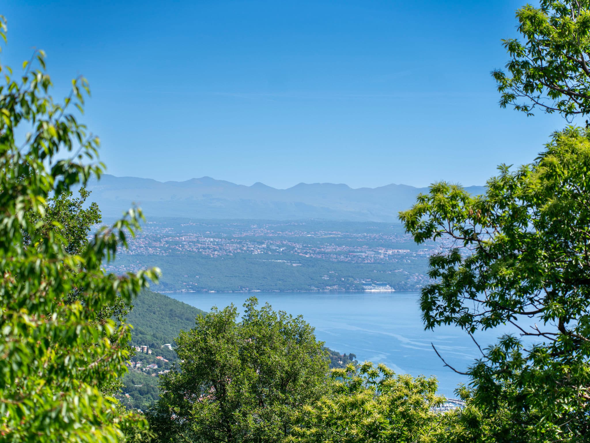 View