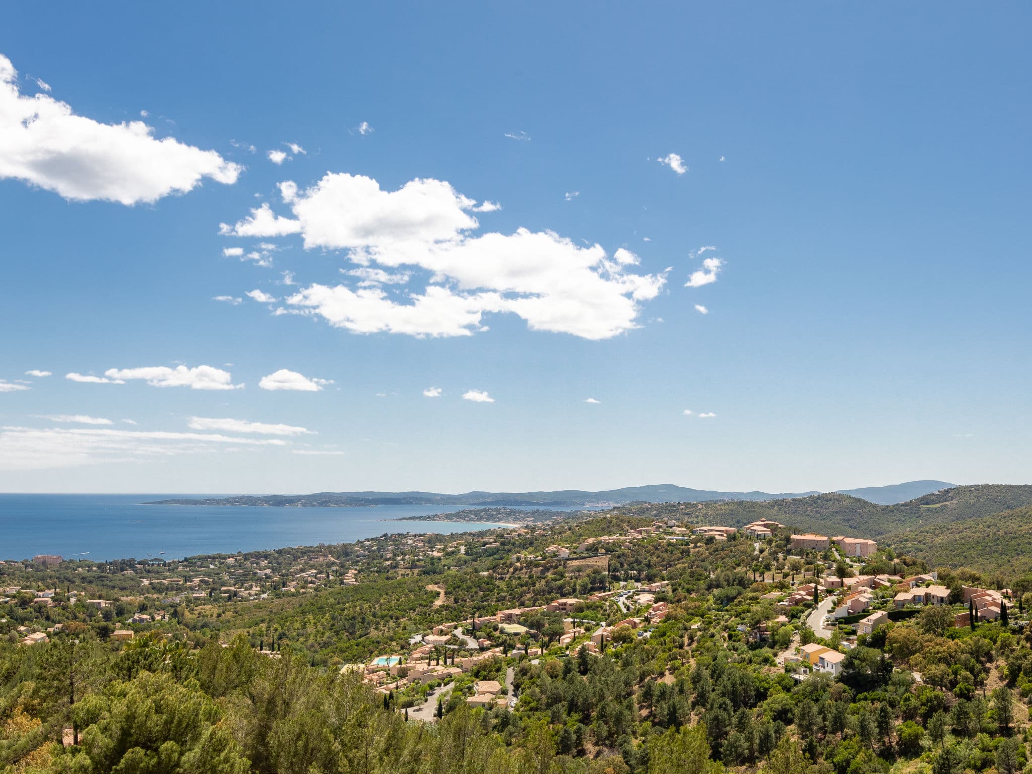 View