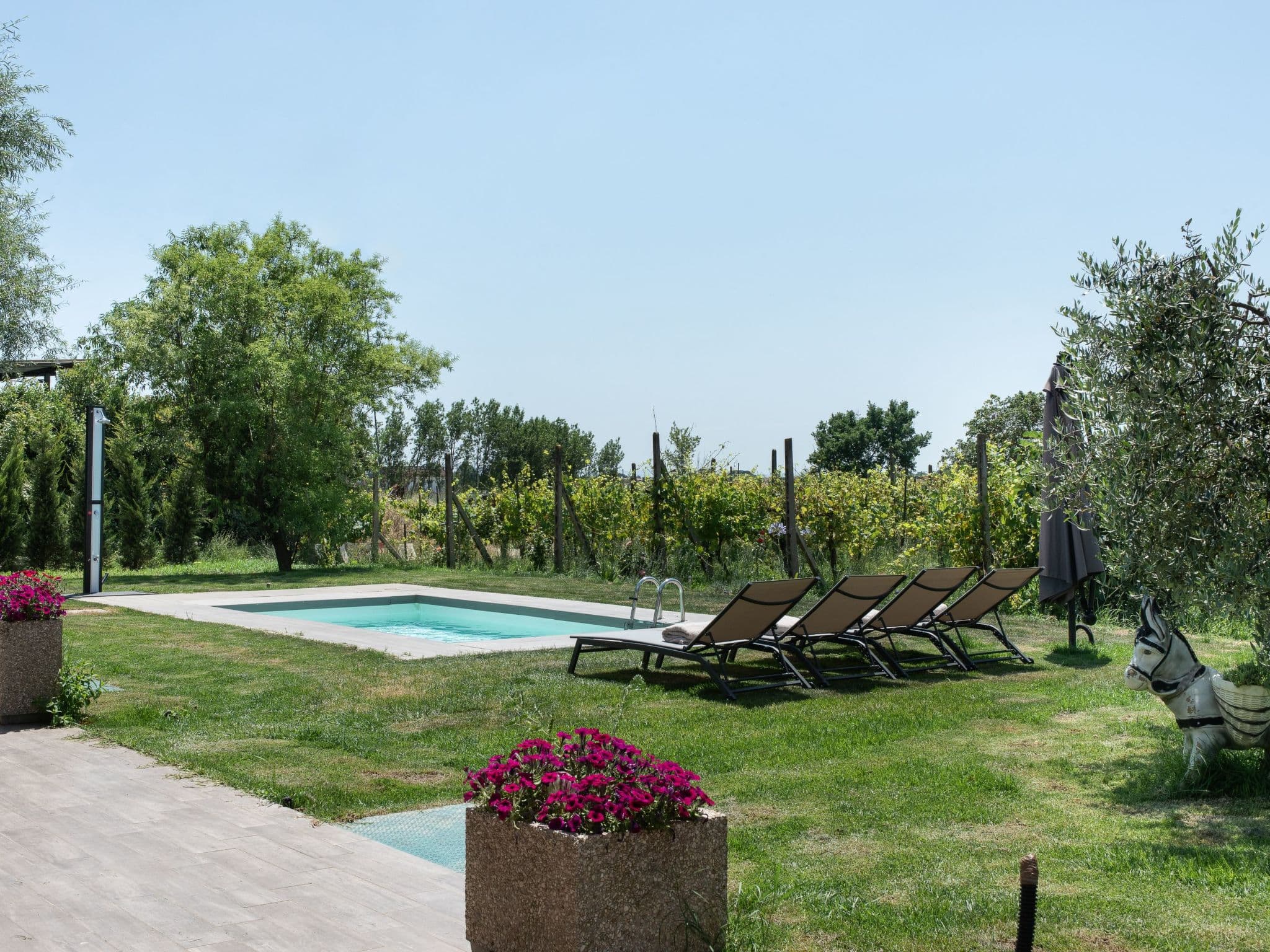 Gallery Image 21