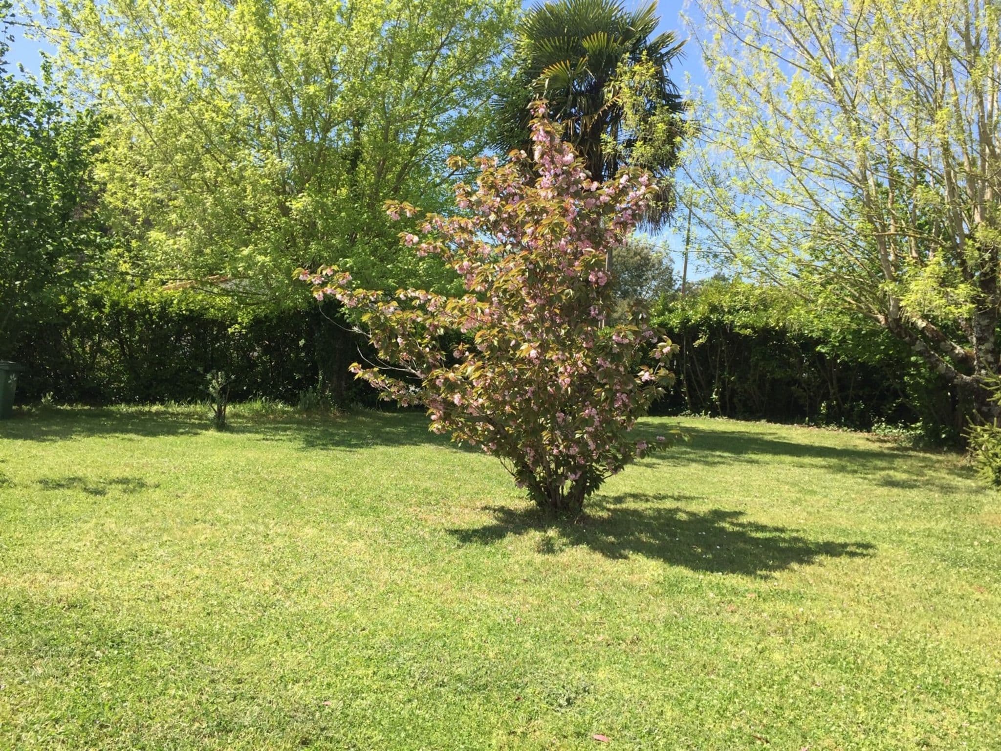 Outdoor